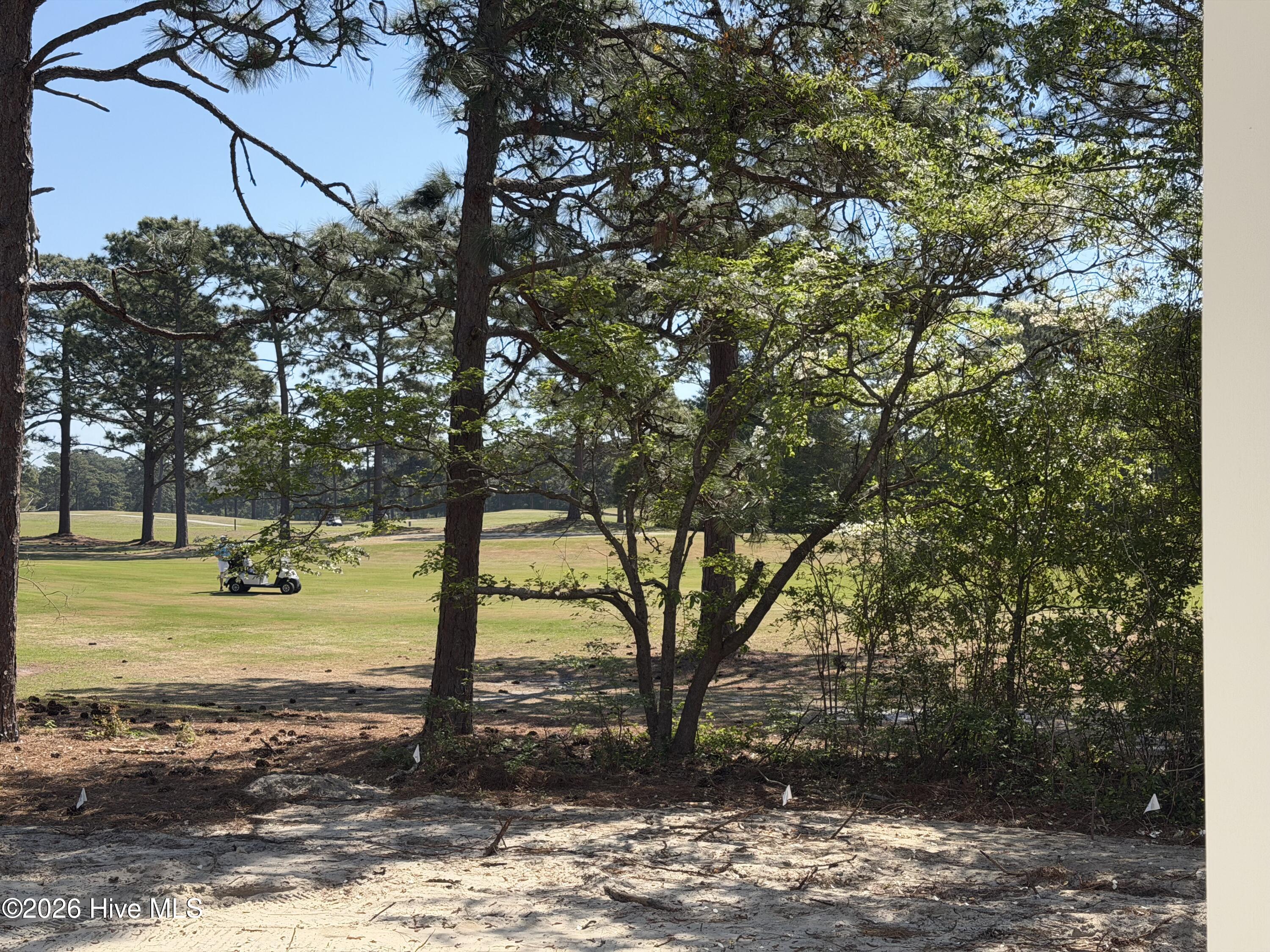 100568393 | Photo 55