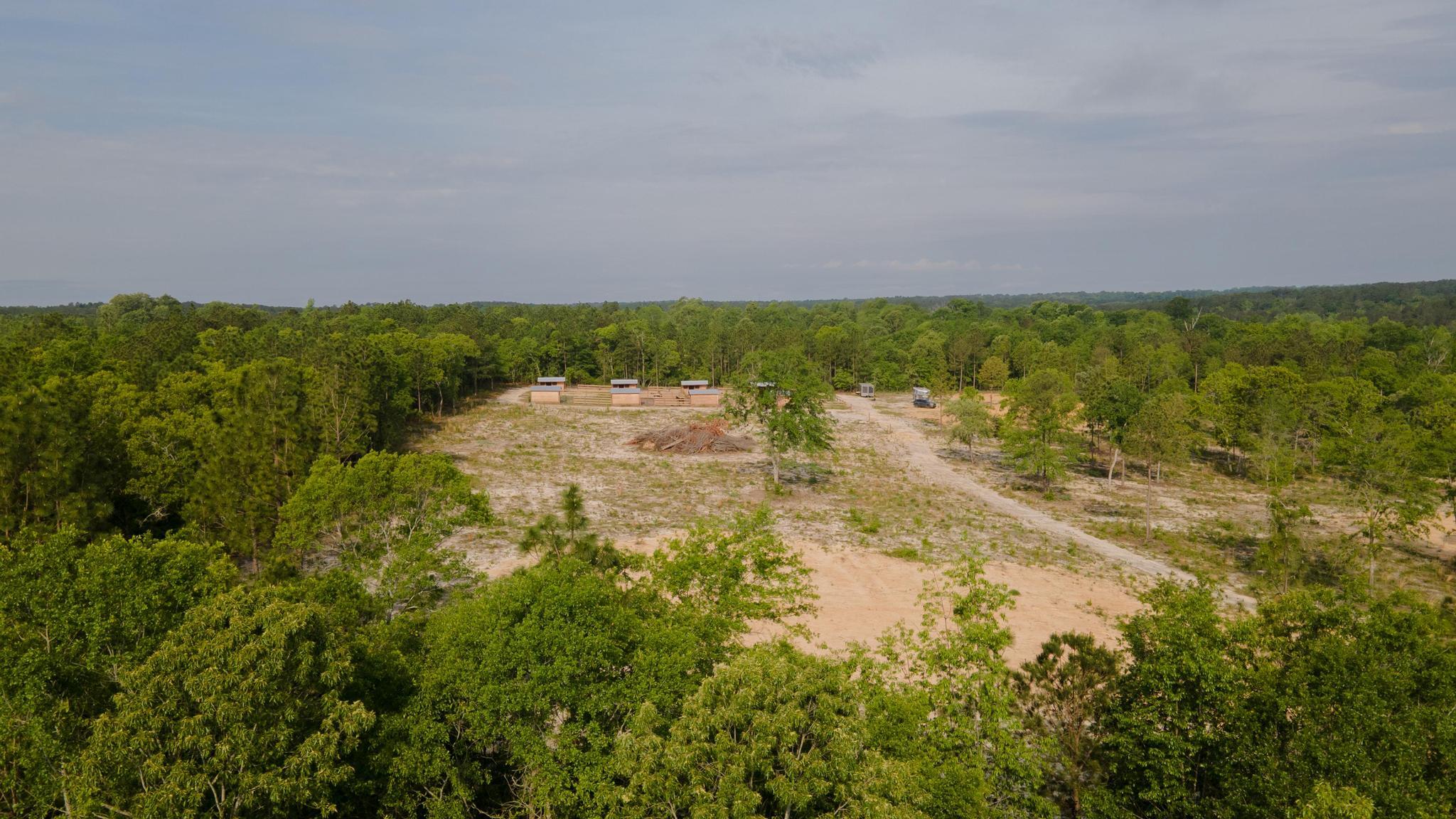 DJI_0359