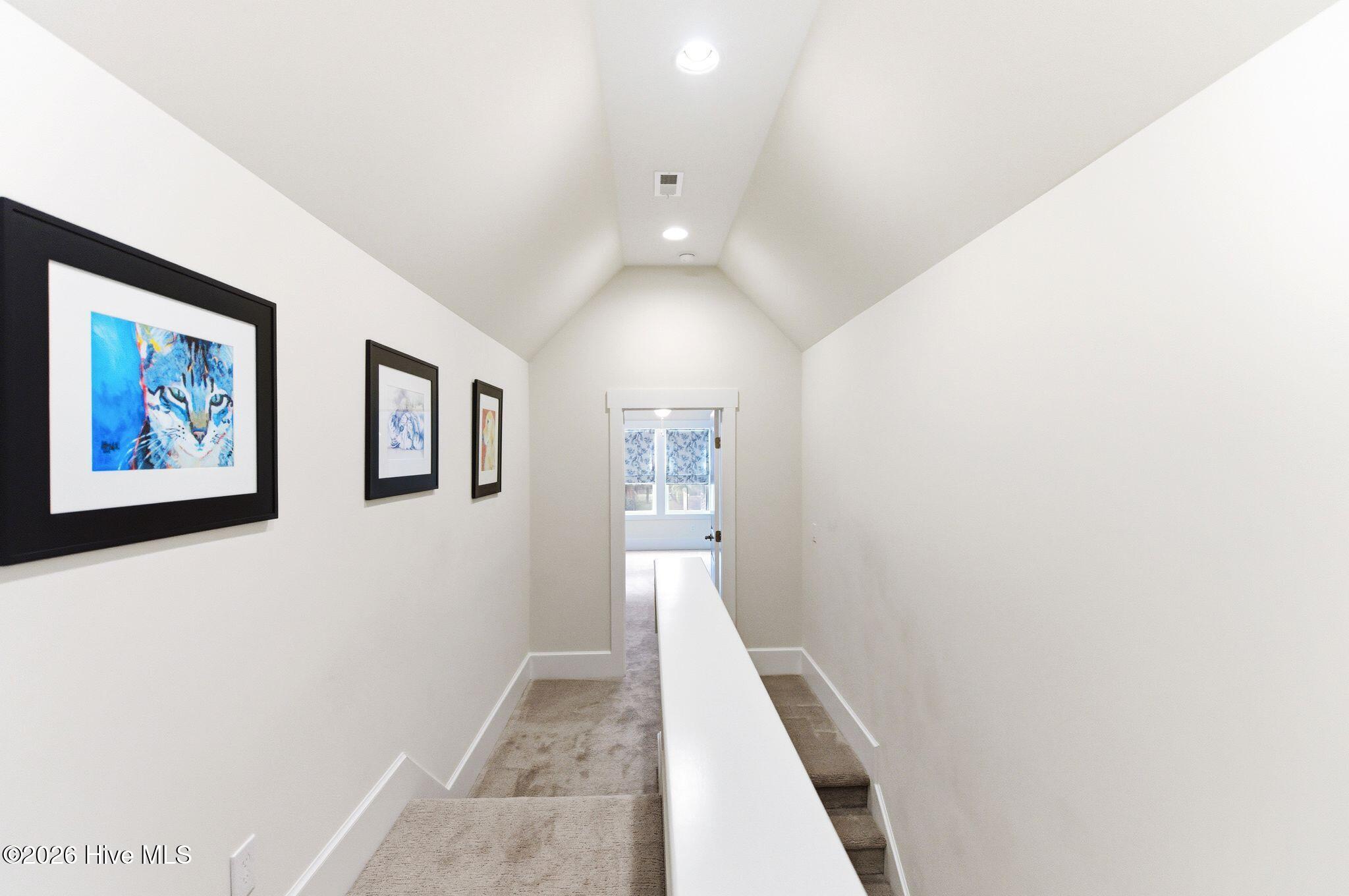 100566081 | Photo 30