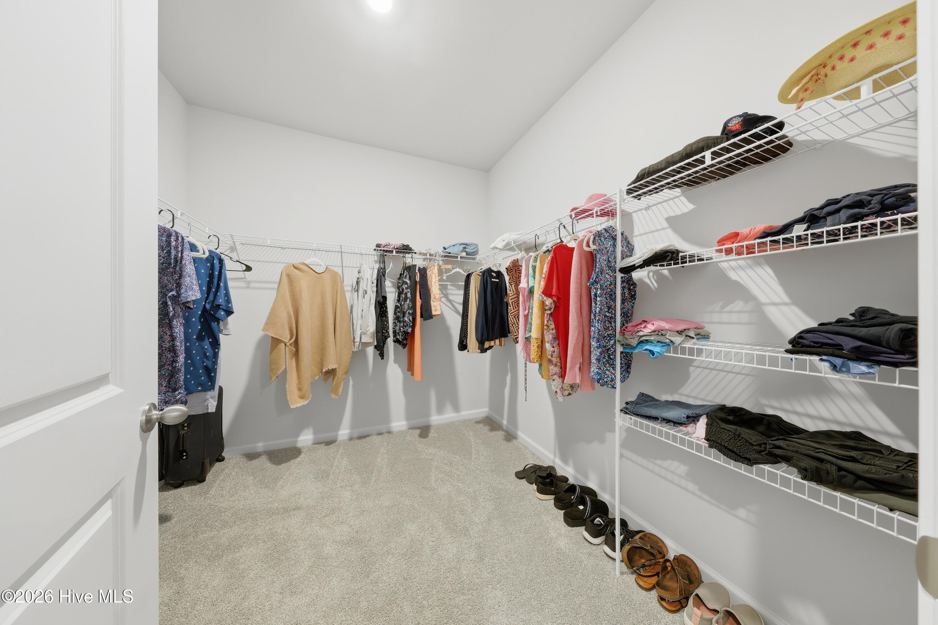 100564310 | Photo 34