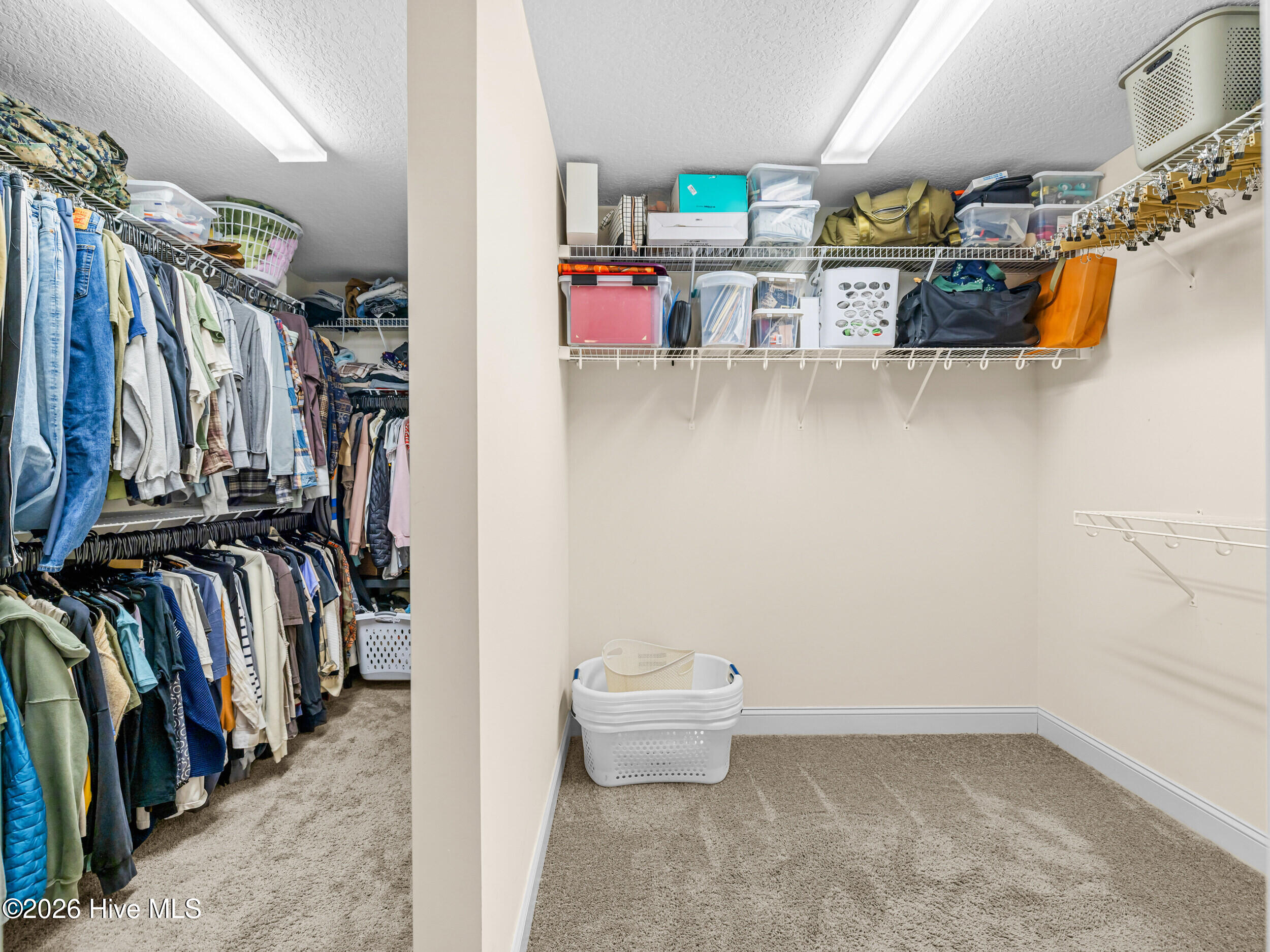 100567423 | Photo 37