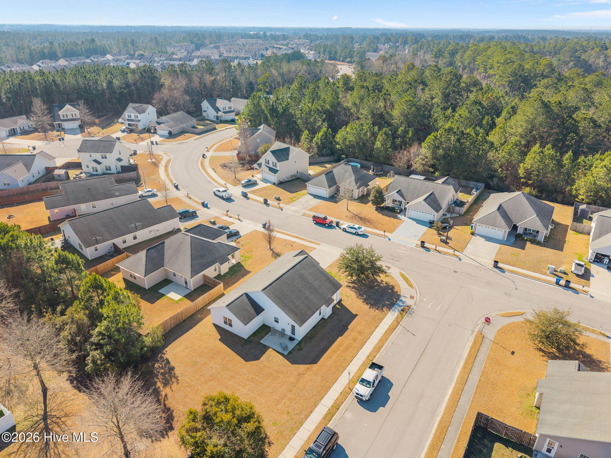 100550942 | Photo 43