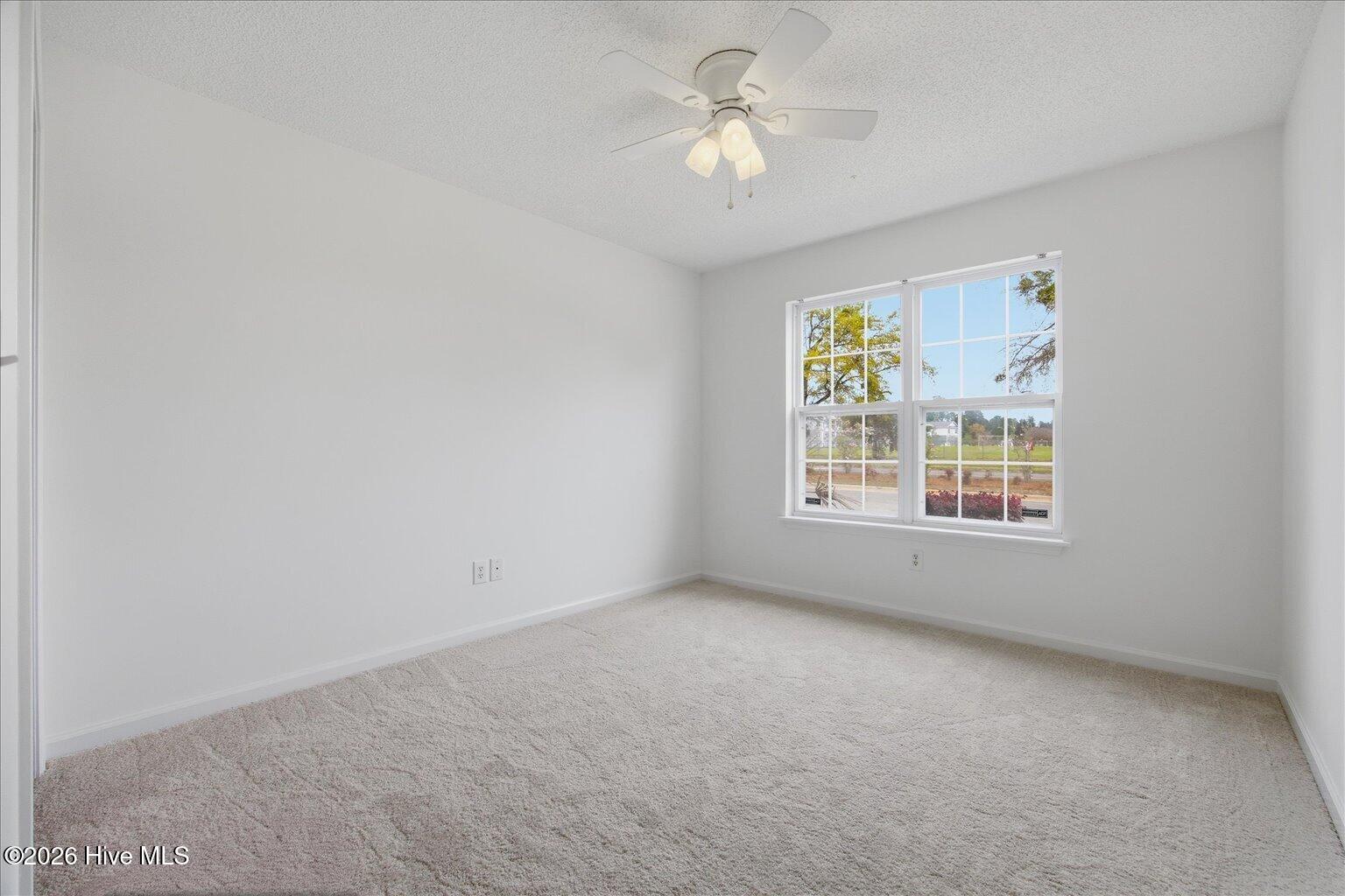 100562733 | Photo 26