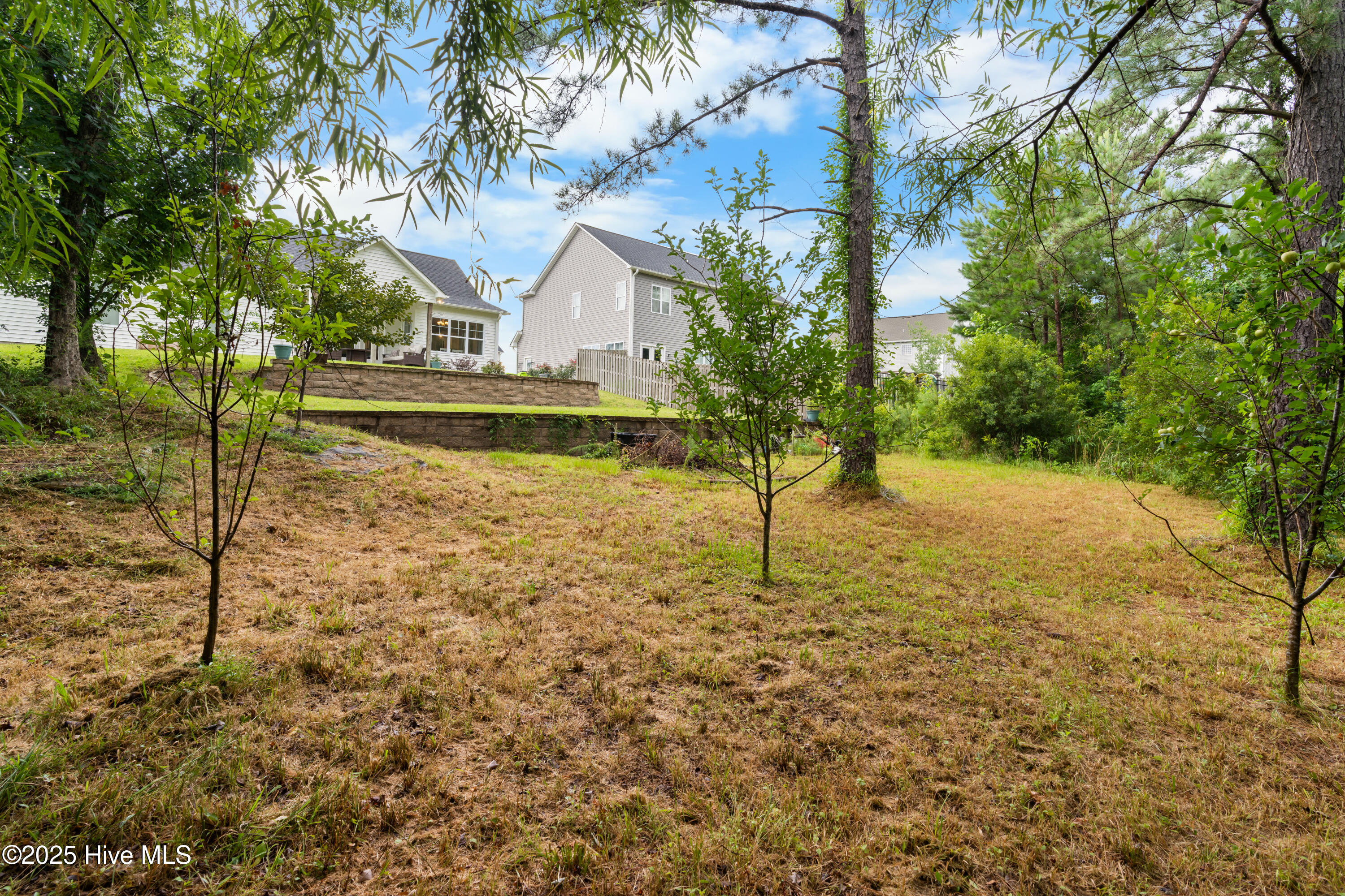 100518721 | Photo 14