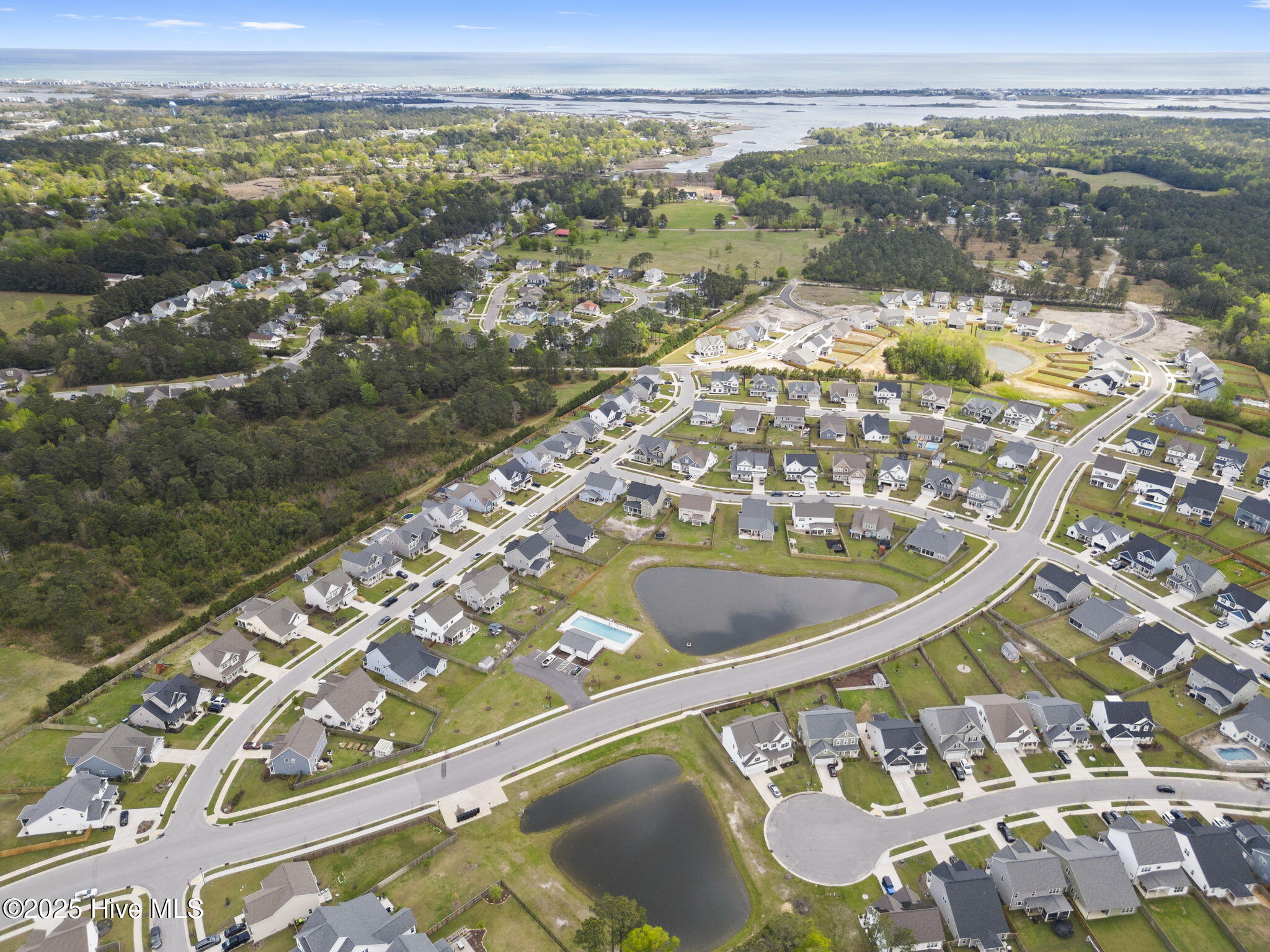 100538351 | Photo 69