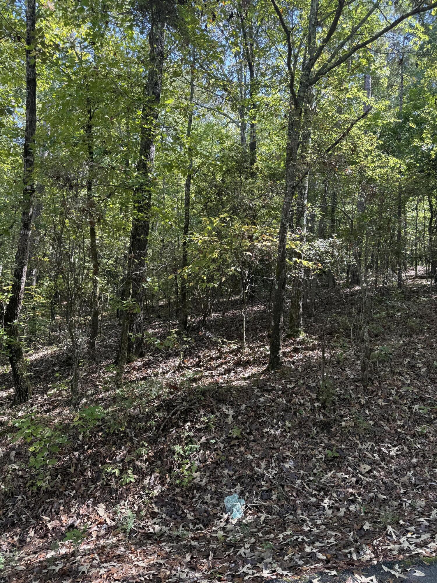 Lot 14b Lbk Circle, Tignall, GA, 30668