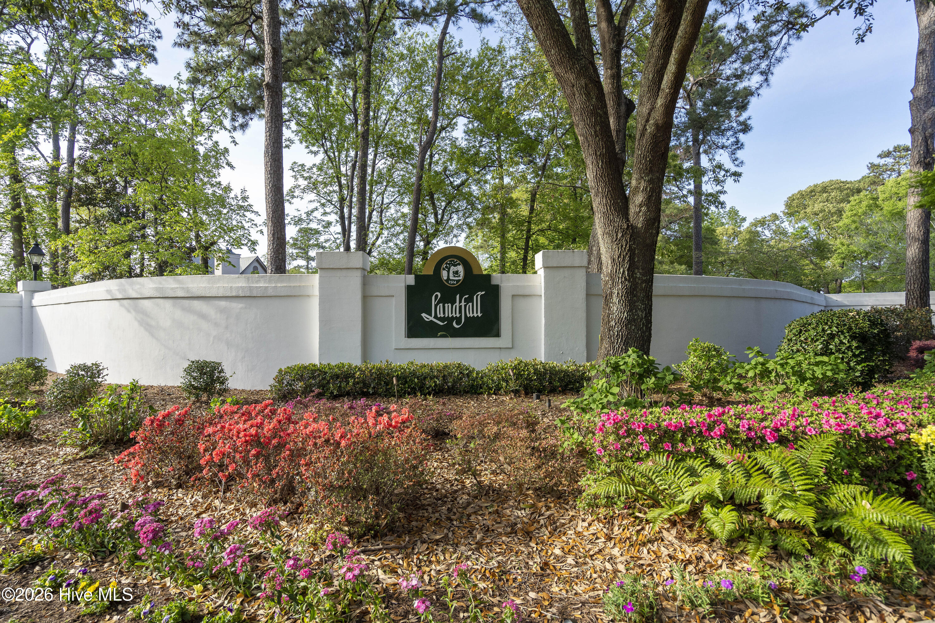 100552221 | Photo 50