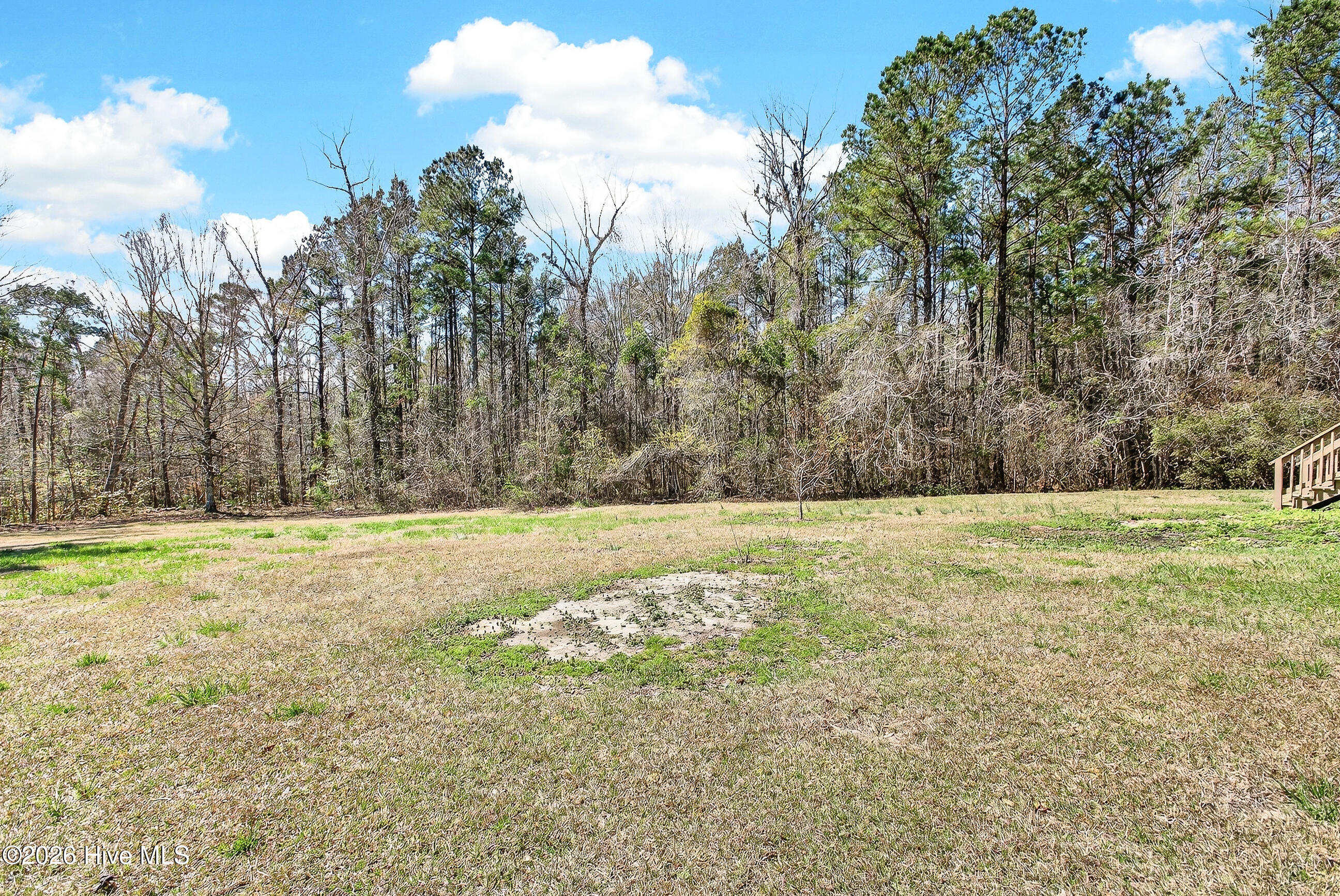 100560826 | Photo 30