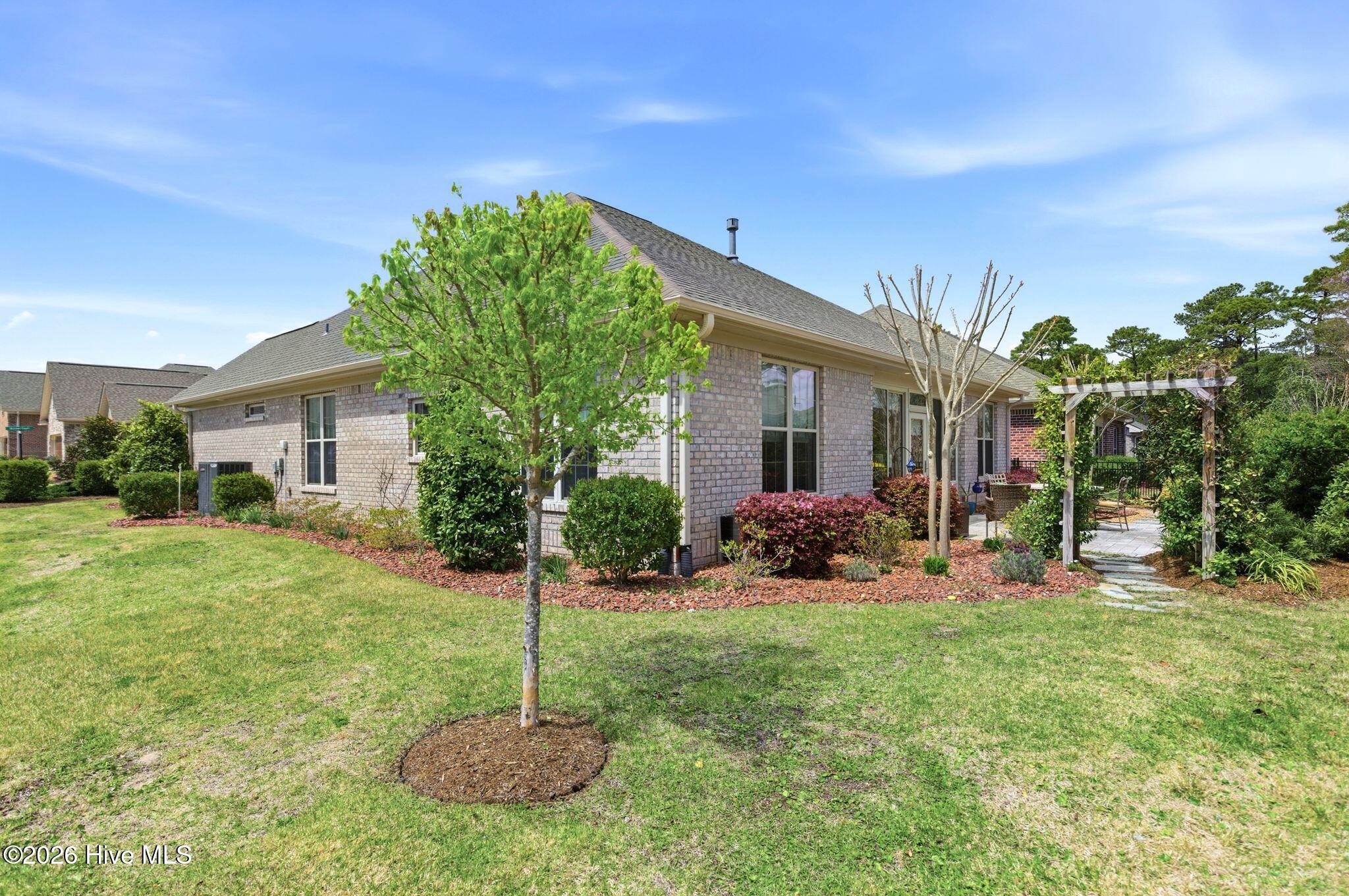 100564564 | Photo 51