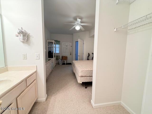 100566867 | Photo 22