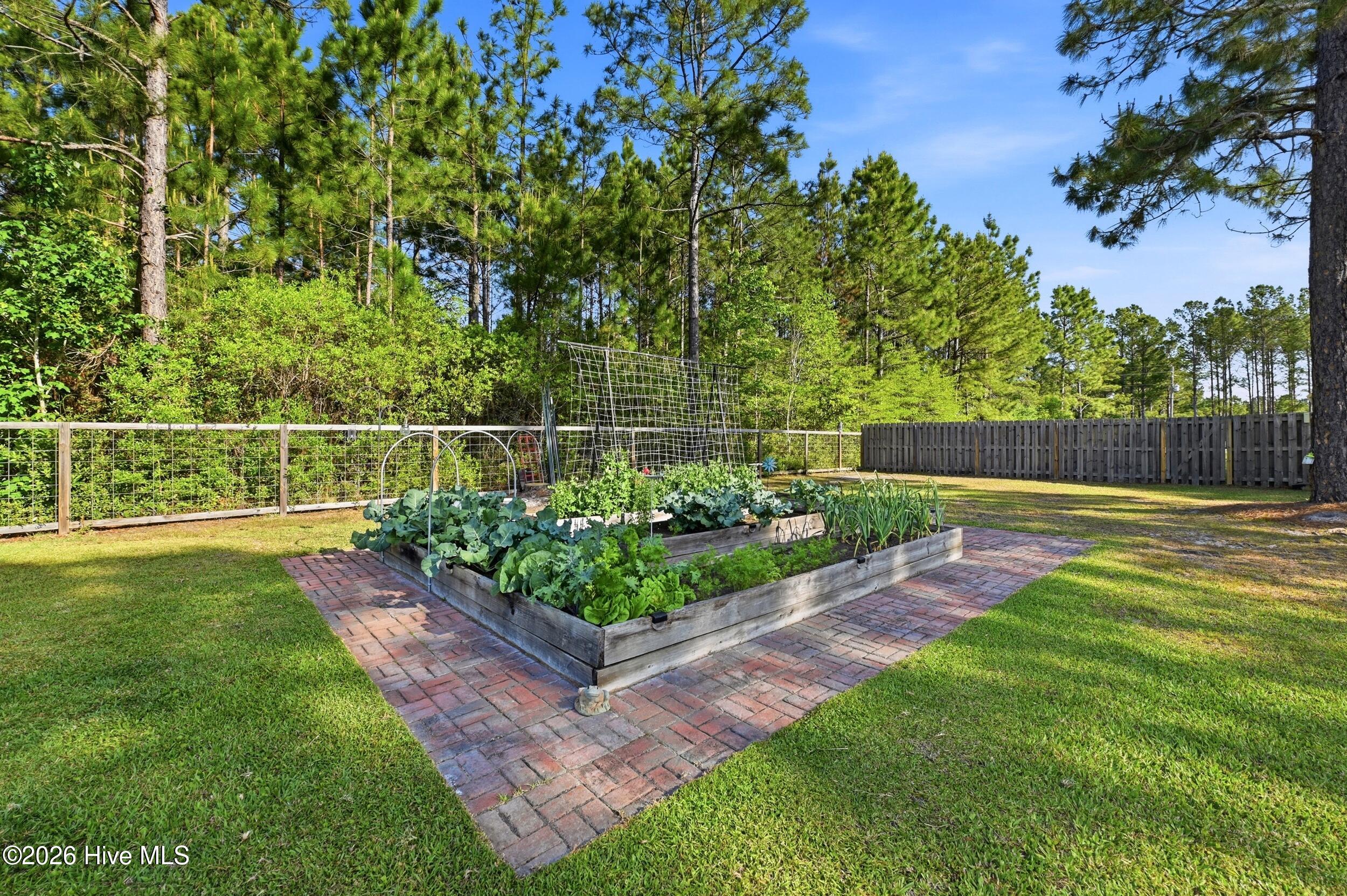 100569719 | Photo 30