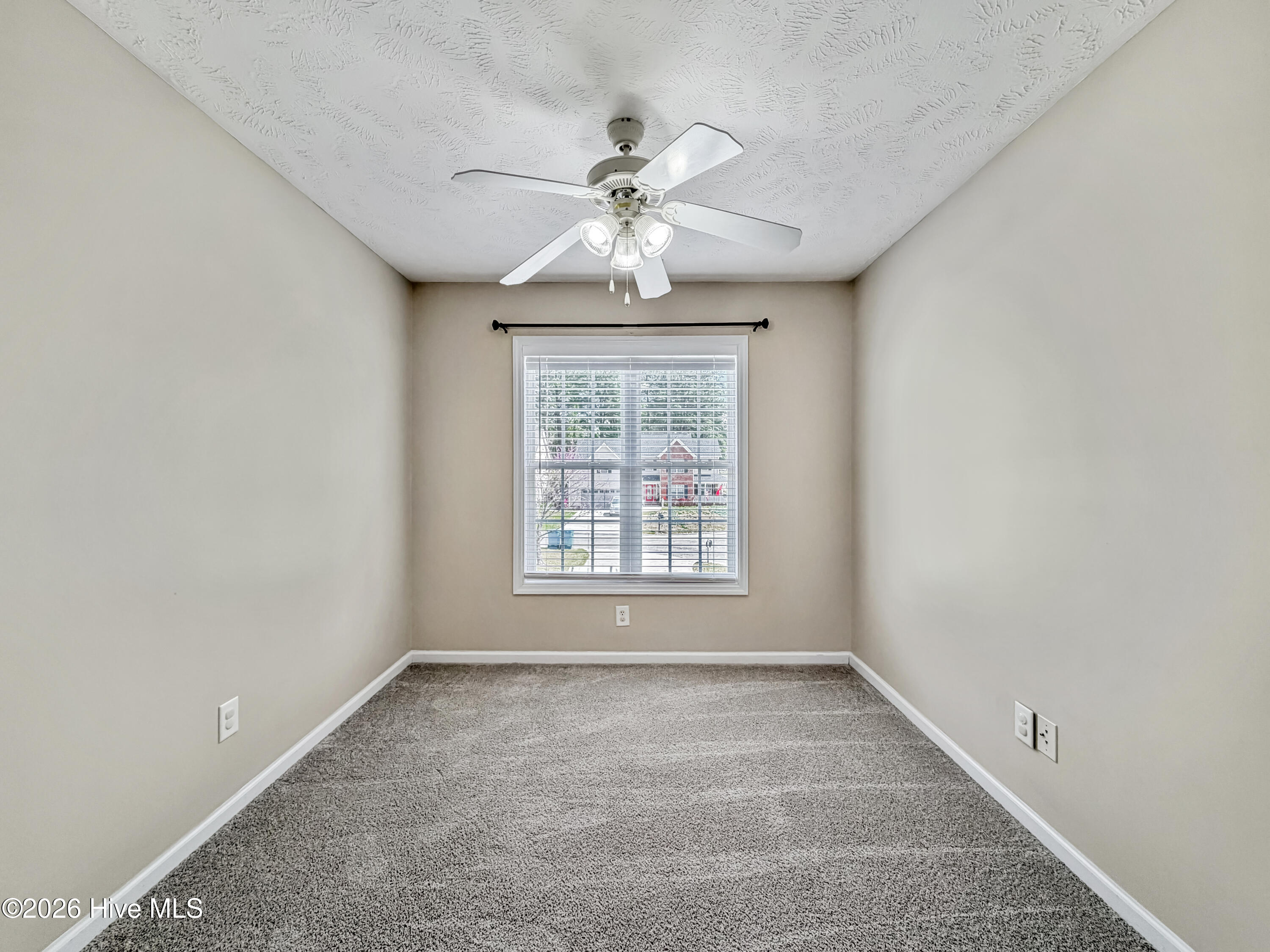 100564126 | Photo 44