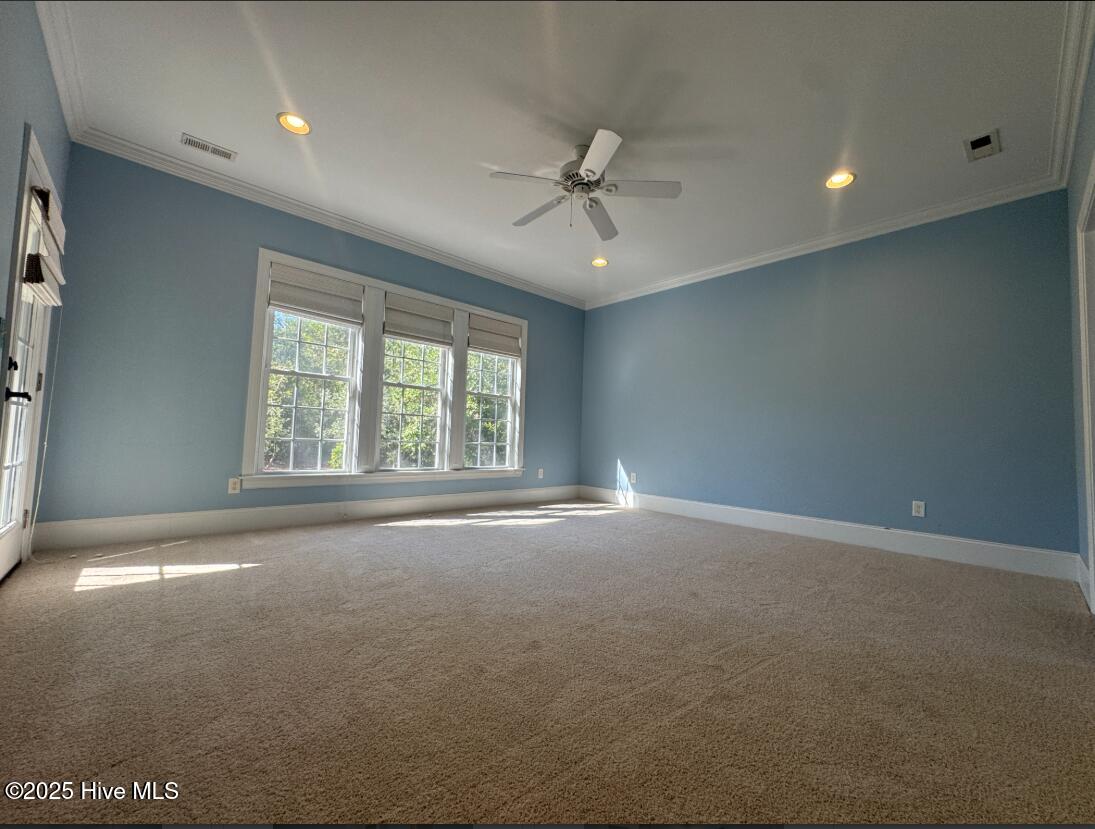 100537320 | Photo 15