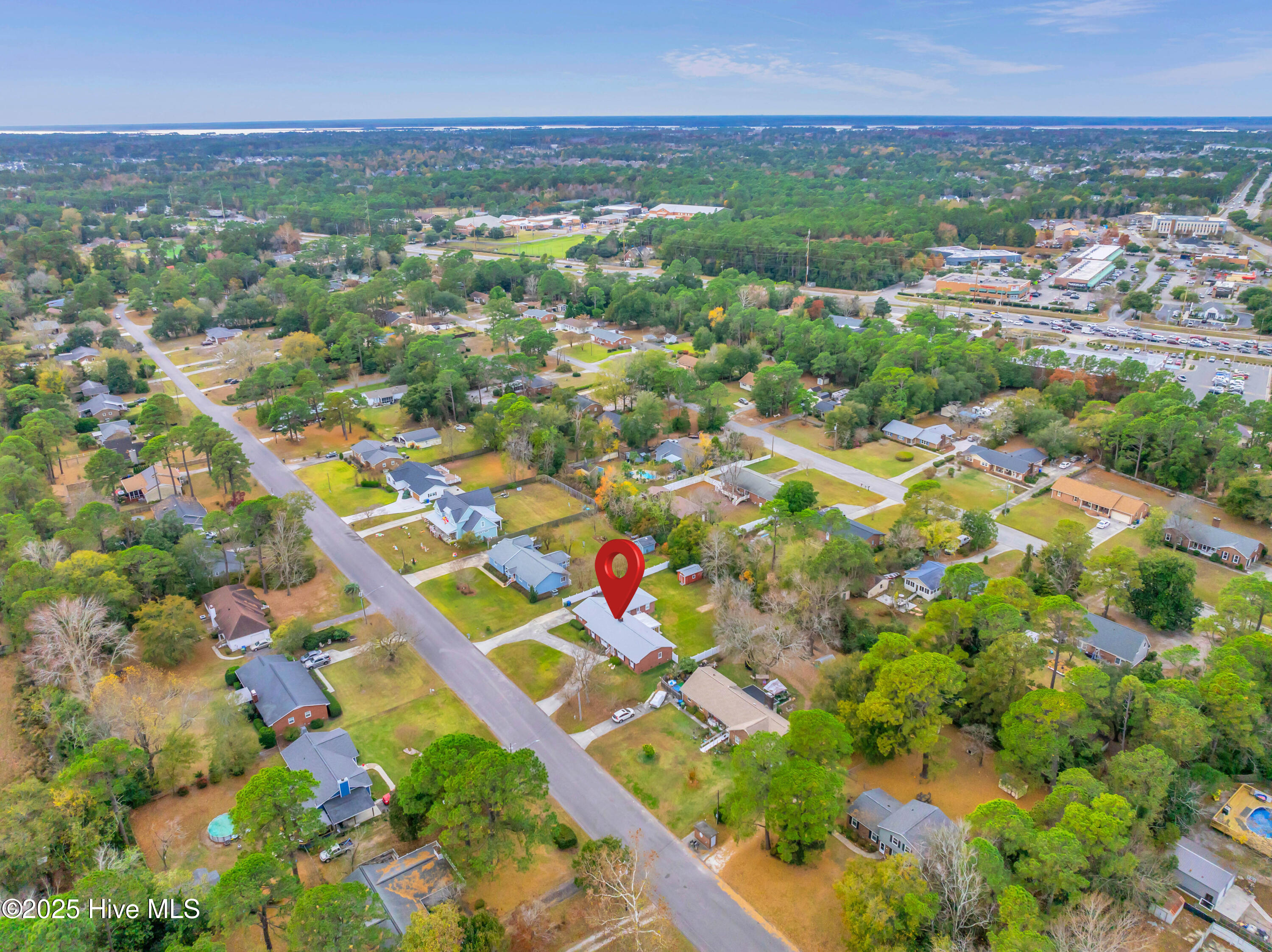 100542884 | Photo 16