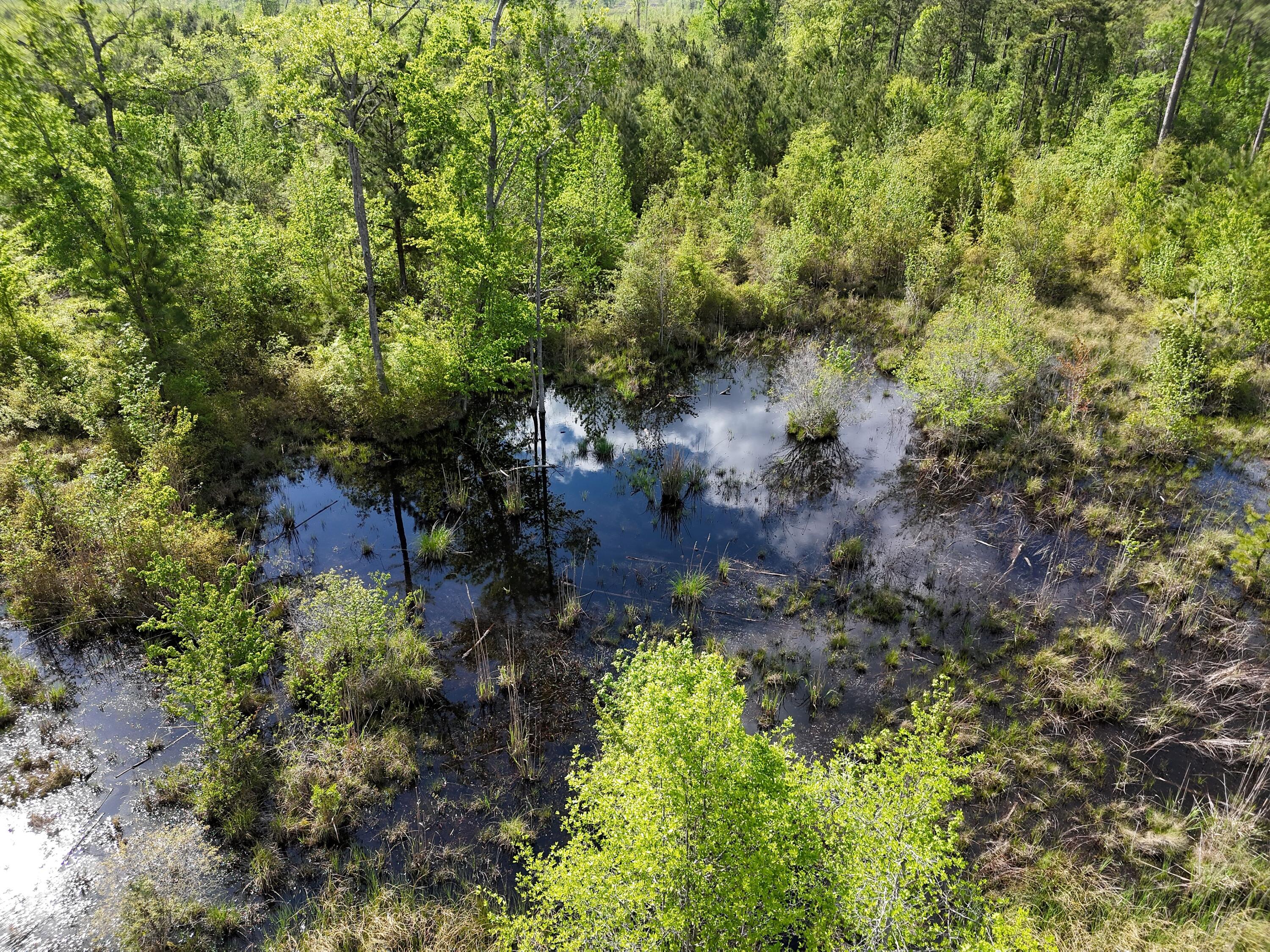 DJI_20250410043736_0017_D