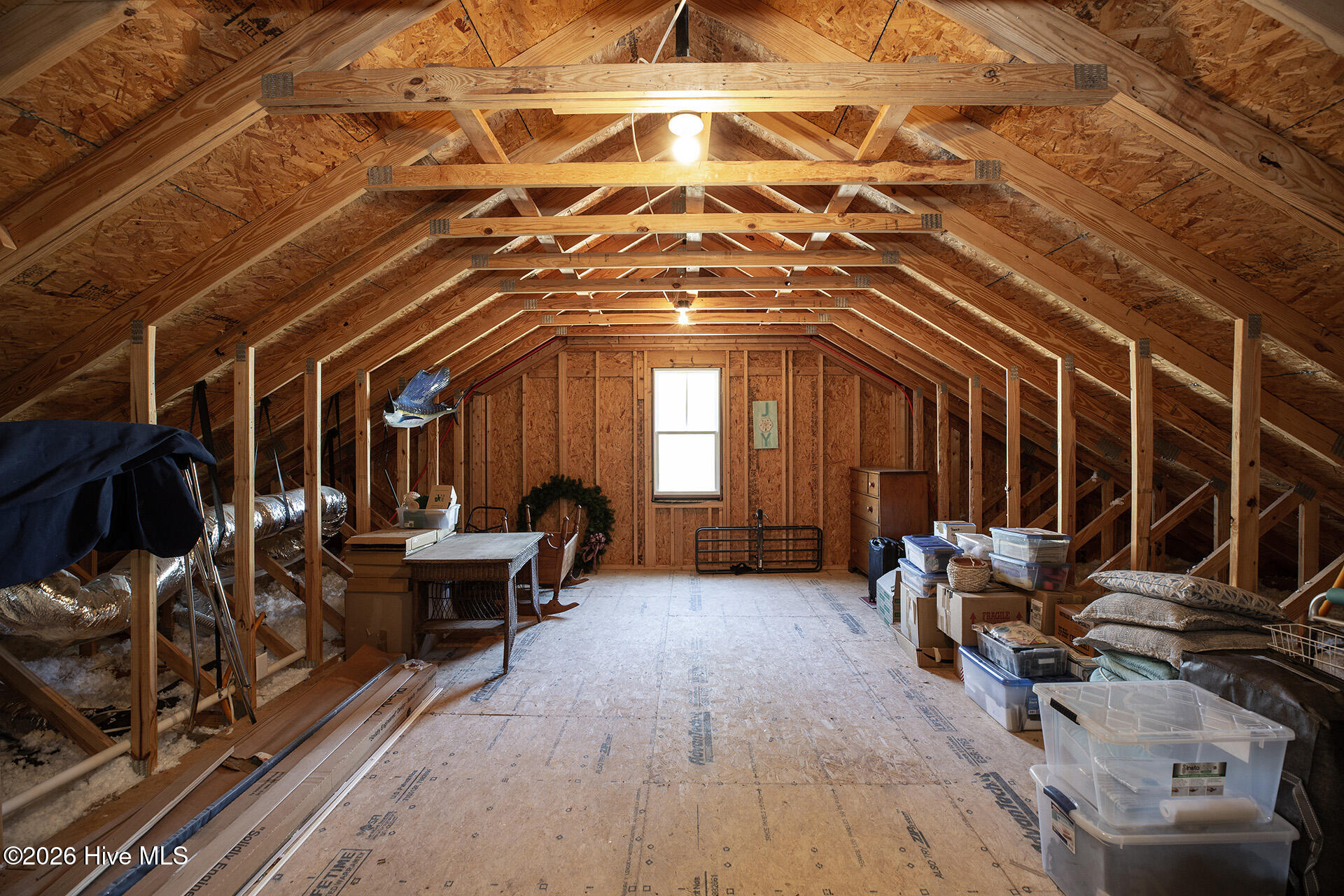 100563719 | Photo 56