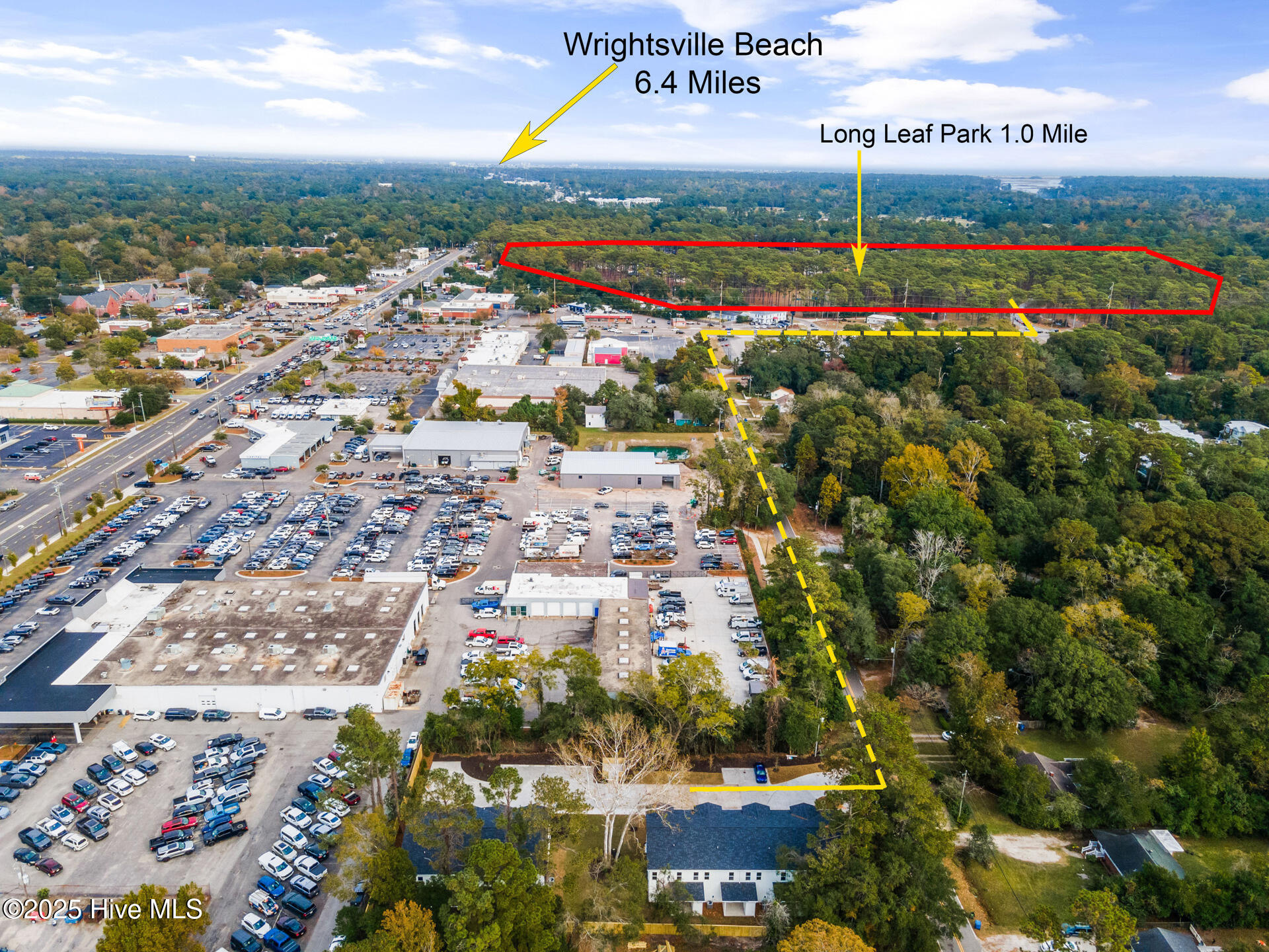 100539626 | Photo 41