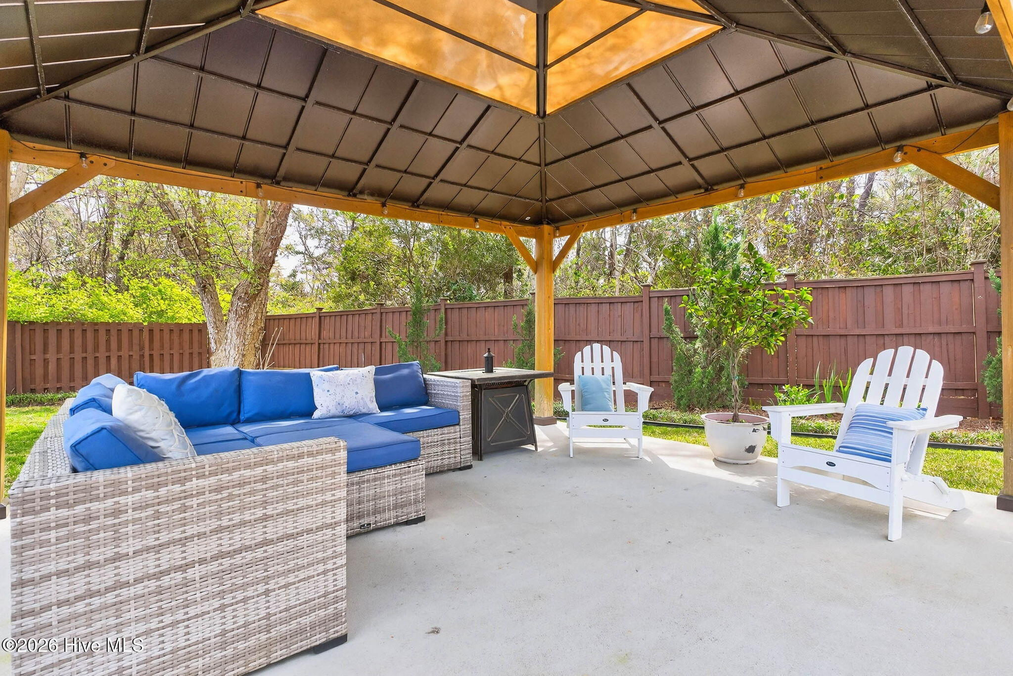 100562589 | Photo 11