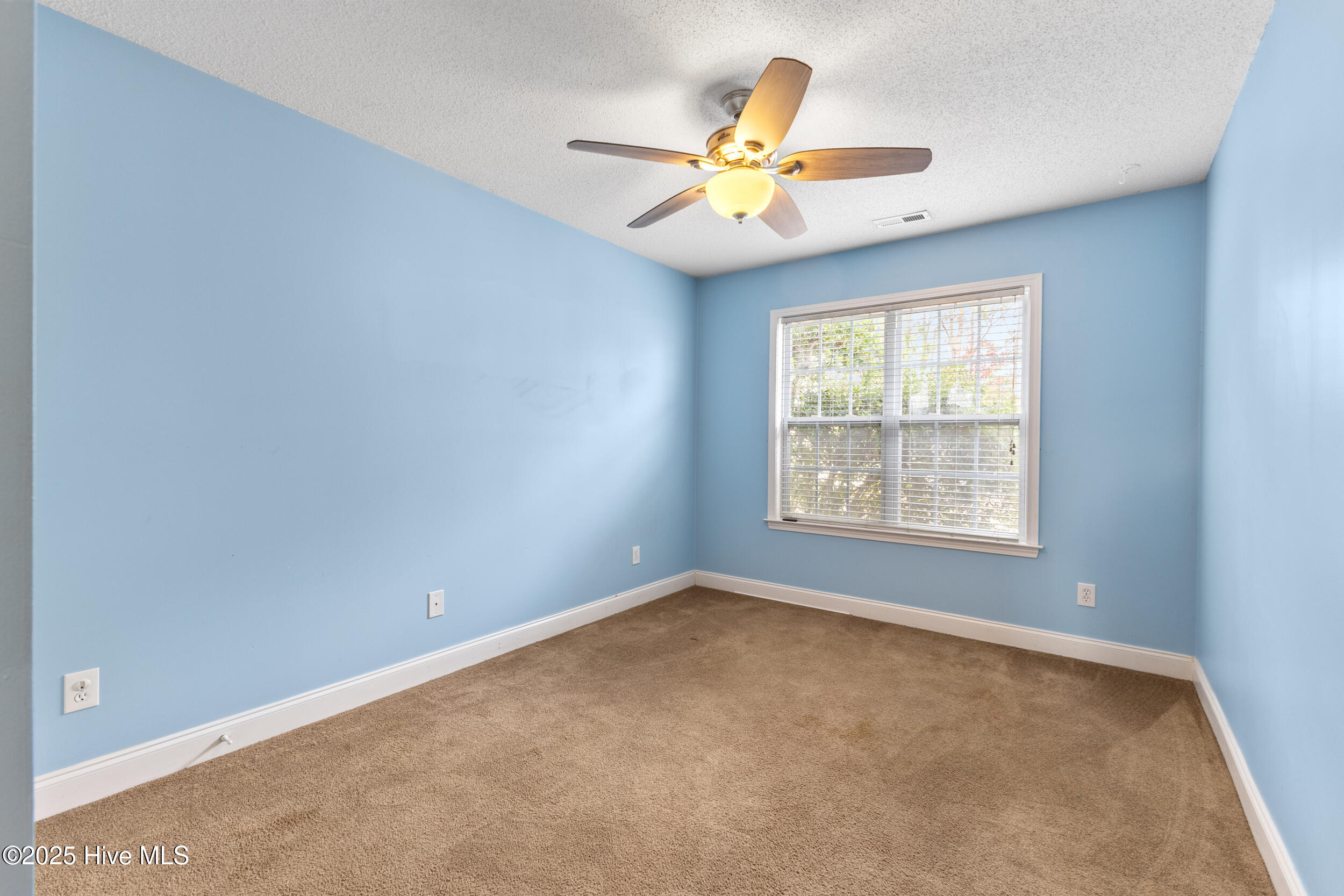 100539988 | Photo 27