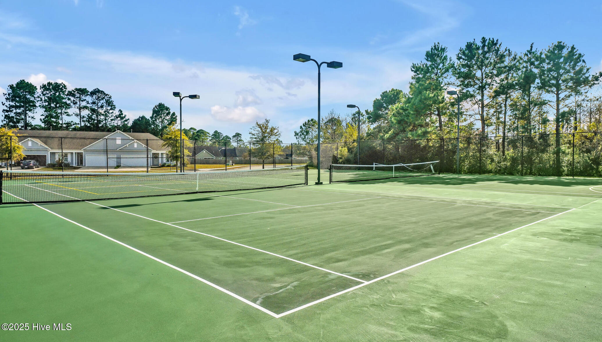 100547163 | Photo 38