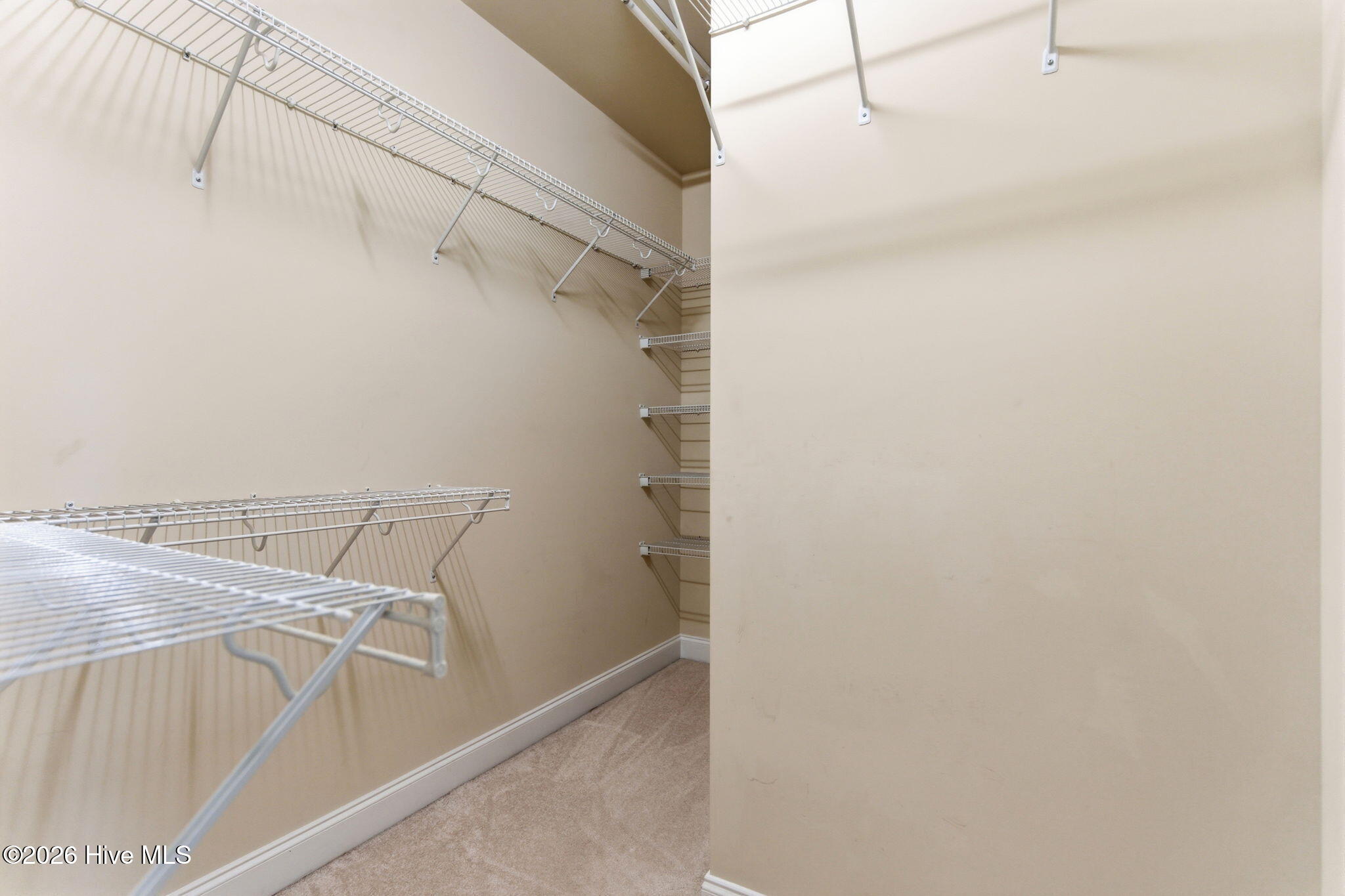 100569700 | Photo 44