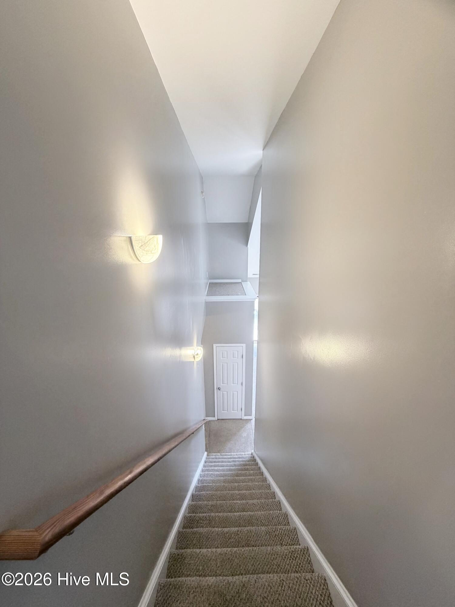 100547389 | Photo 26