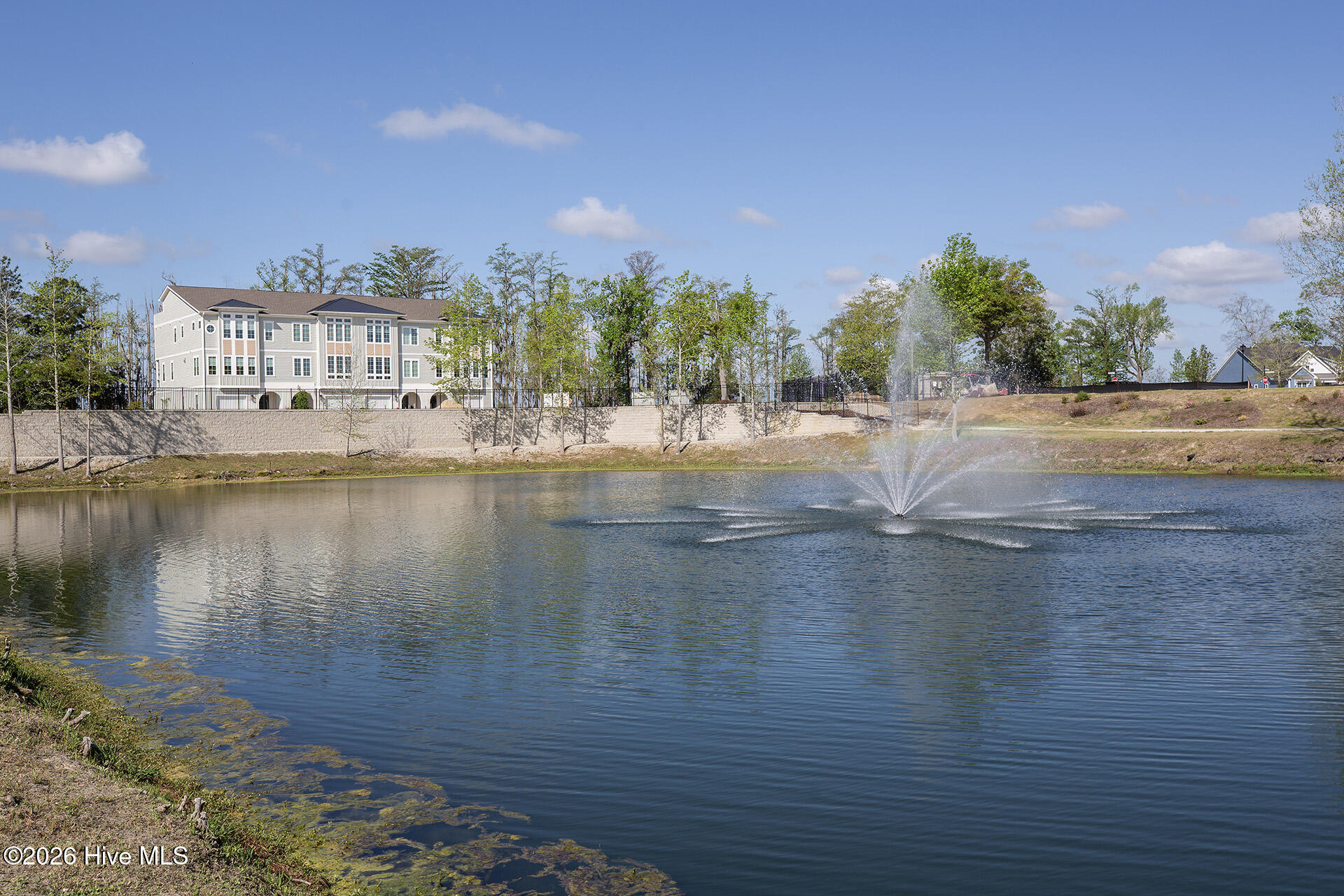 100563450 | Photo 57