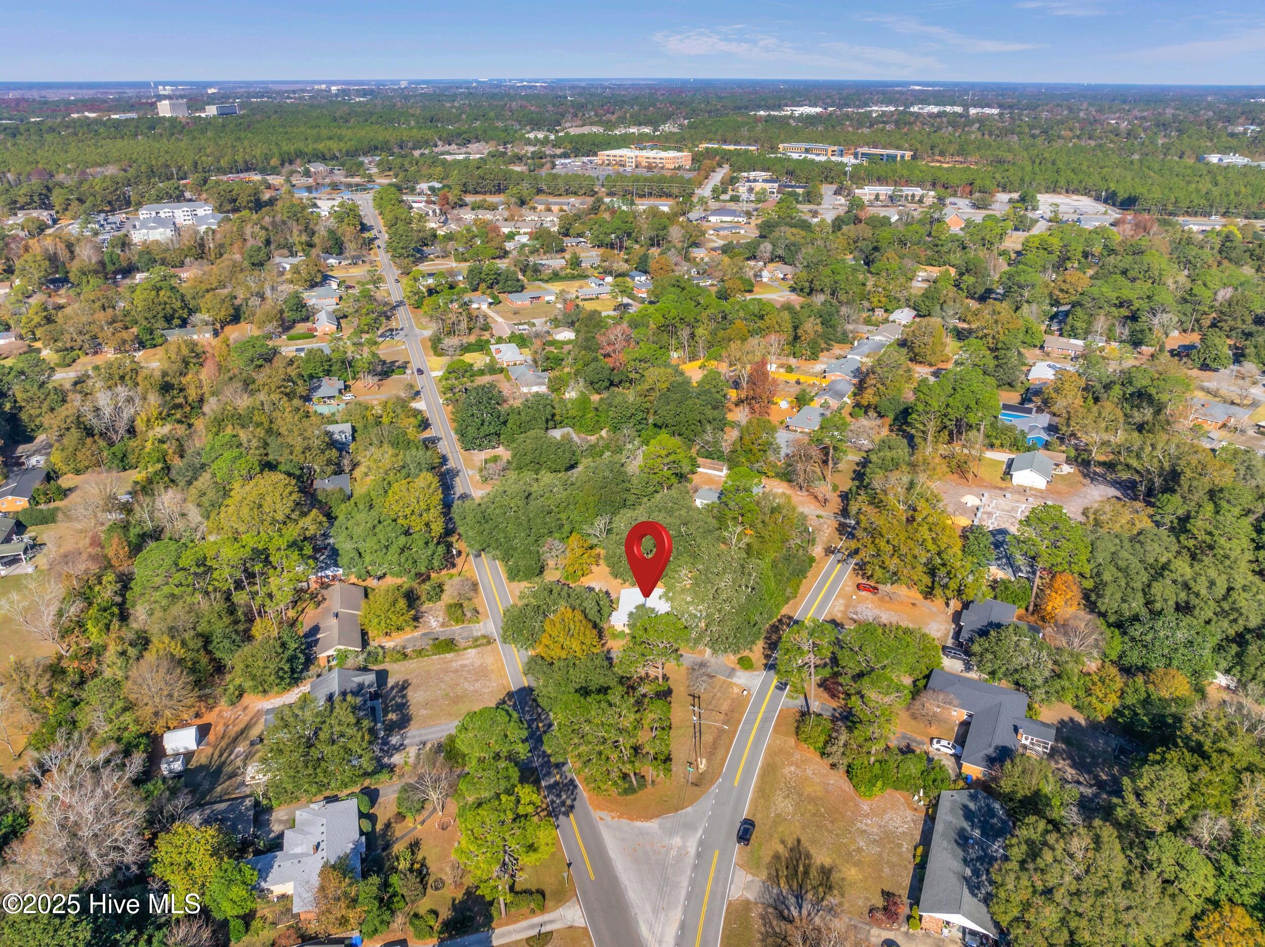 100532133 | Photo 50