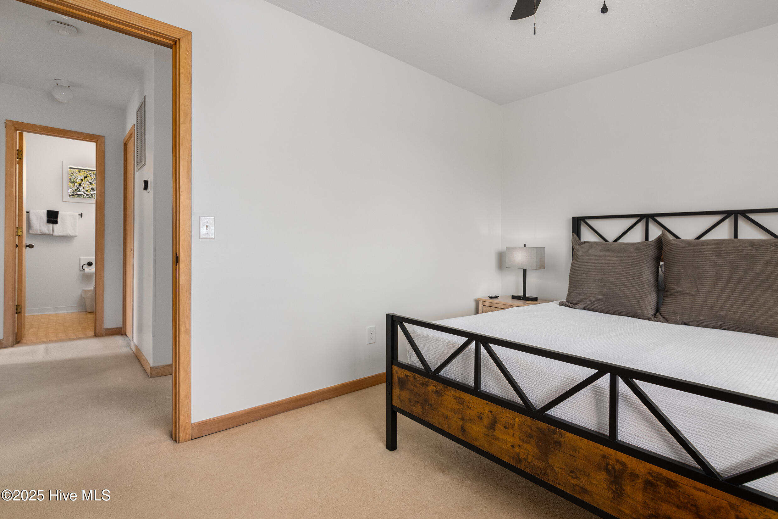 100526101 | Photo 26