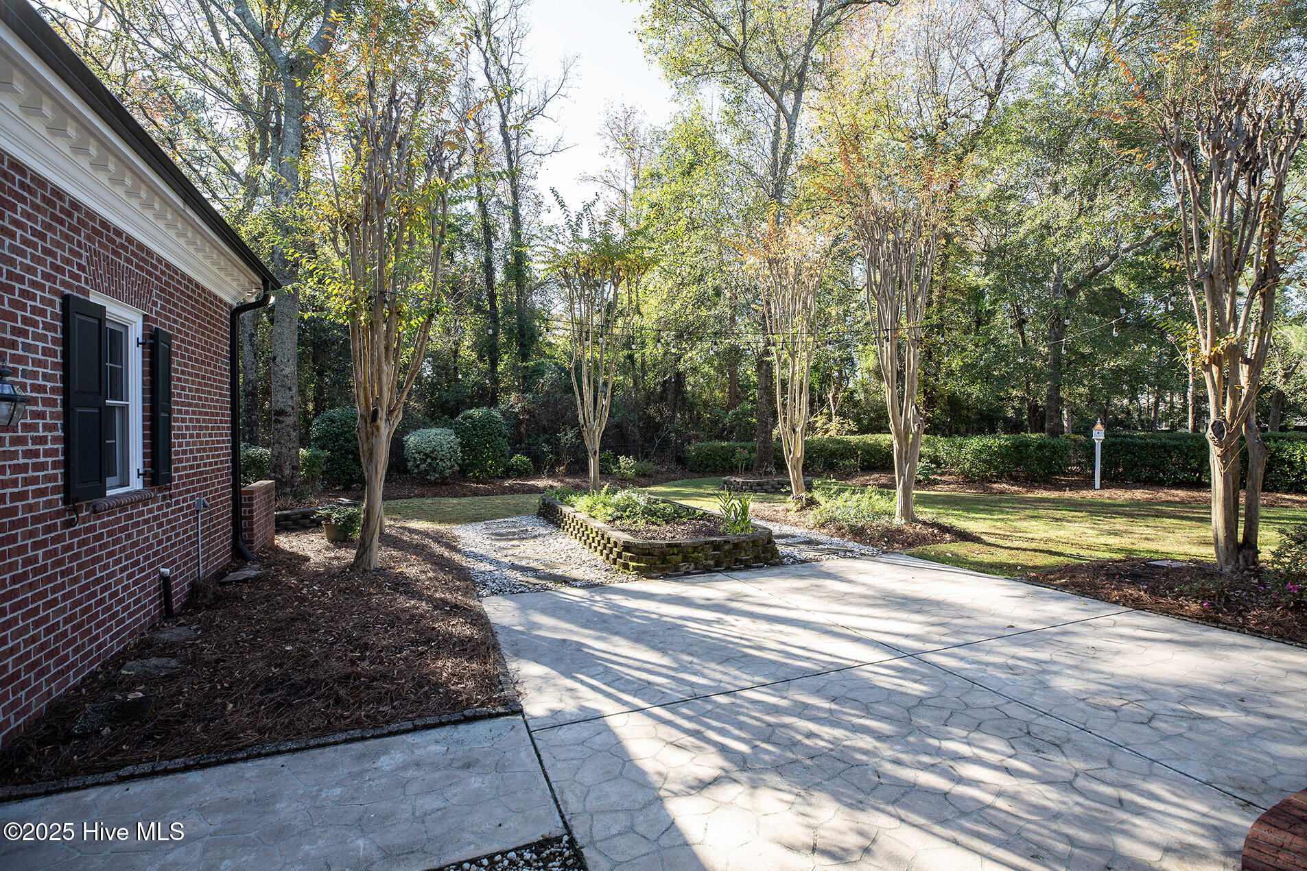 100545737 | Photo 79