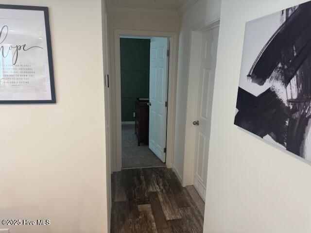 100542049 | Photo 40