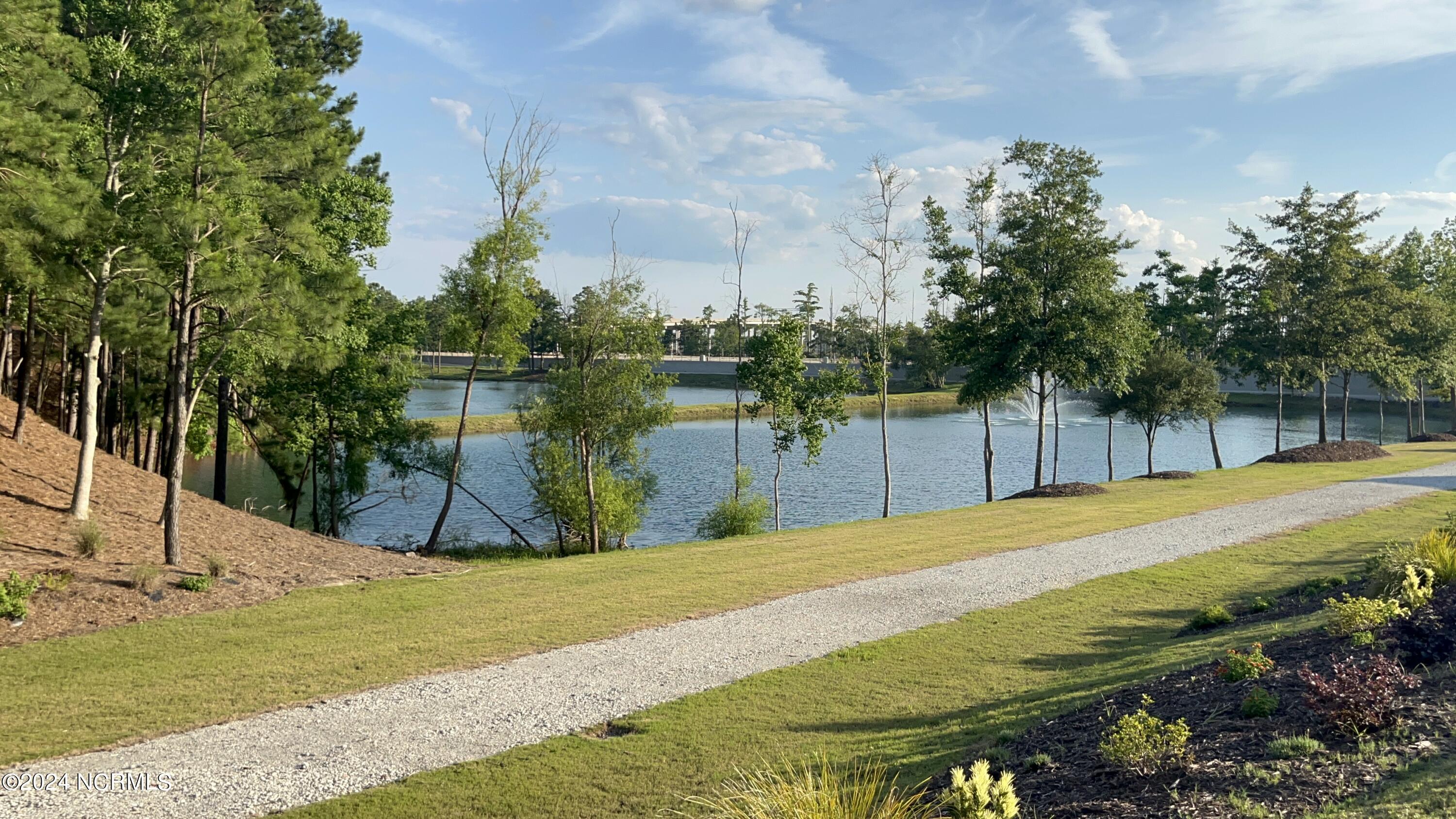 100454481 | Photo 38