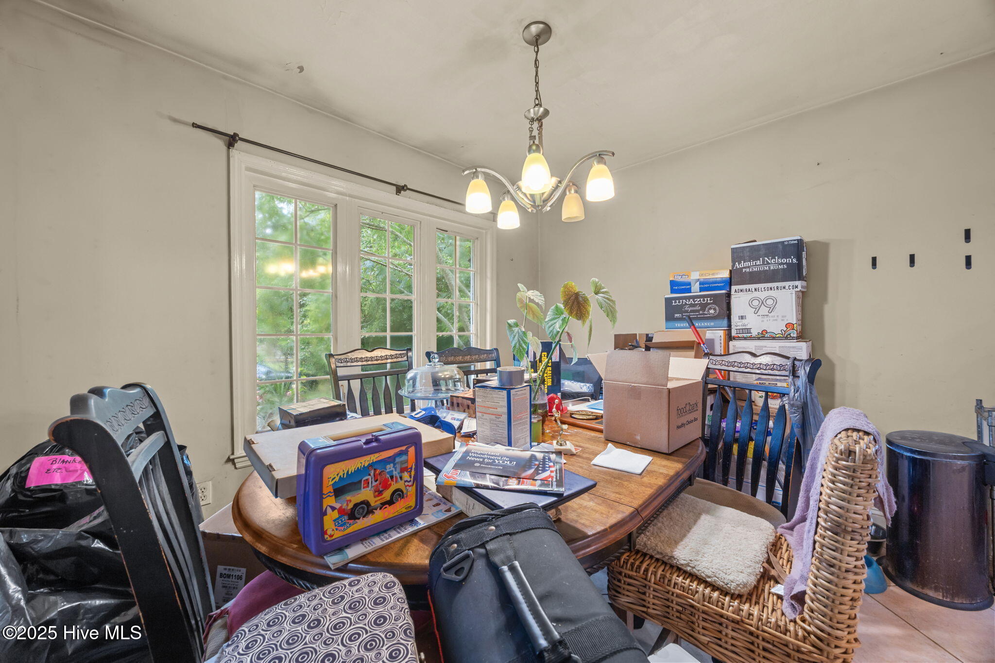 100566802 | Photo 26