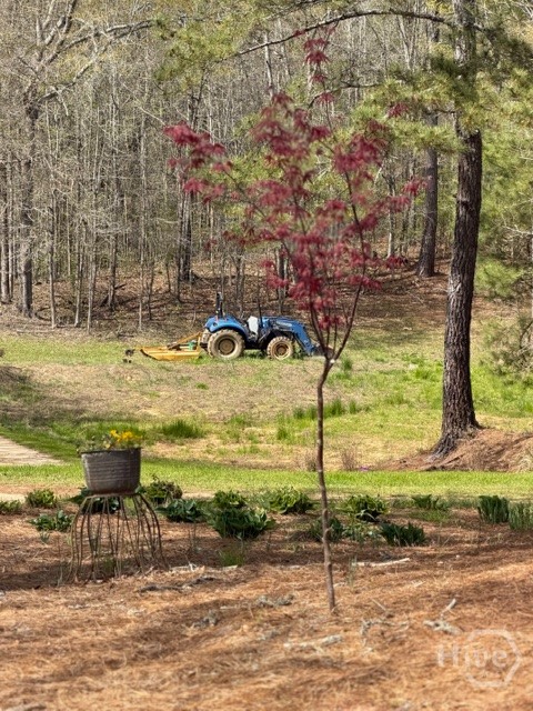 1208 Elberton Road, Lexington, GA, 30648