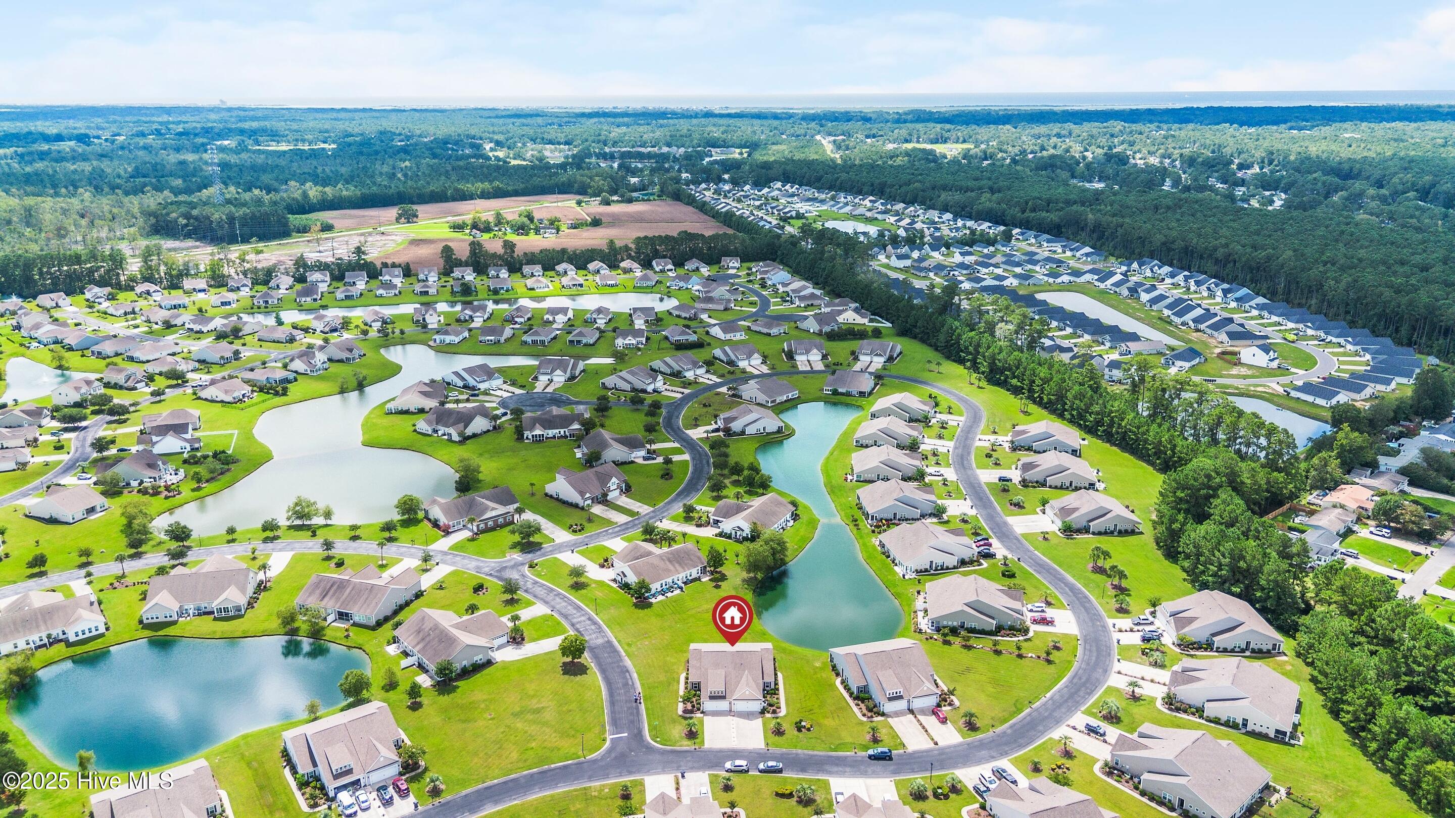 100525343 | Photo 44