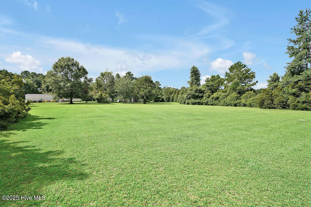 100521494 | Photo 55