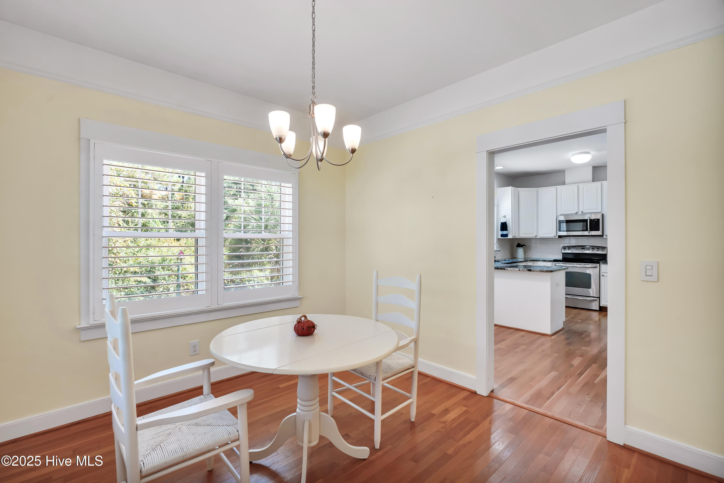 100535392 | Photo 11