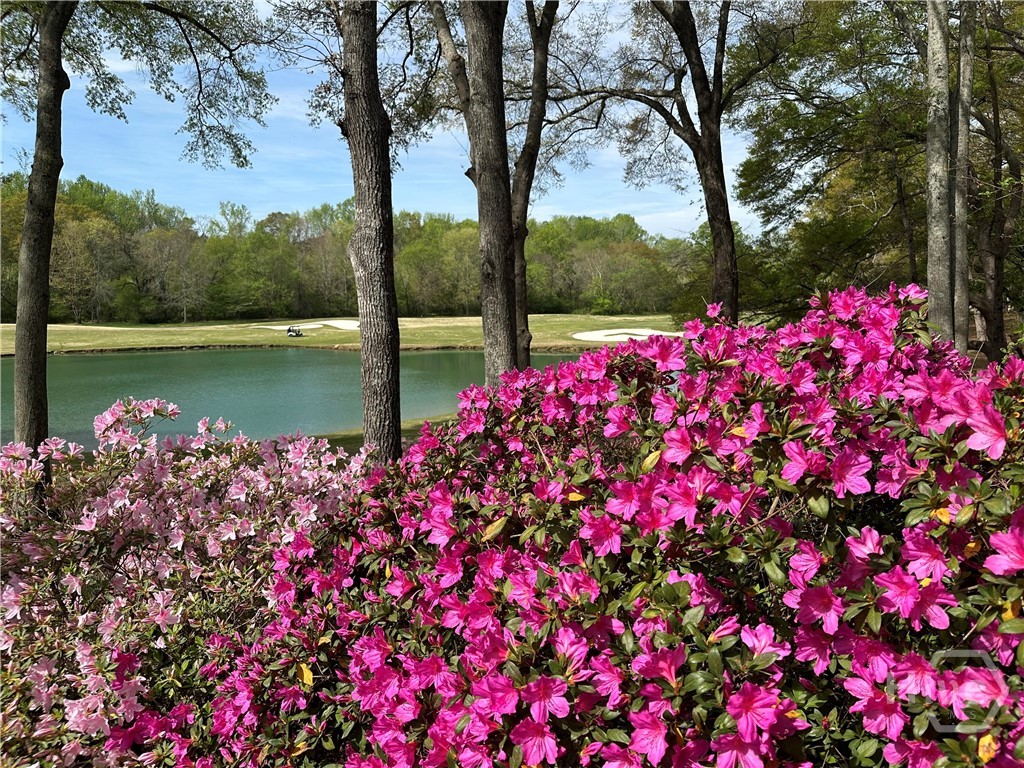 711 Bluff Road, Statham, GA, 30666