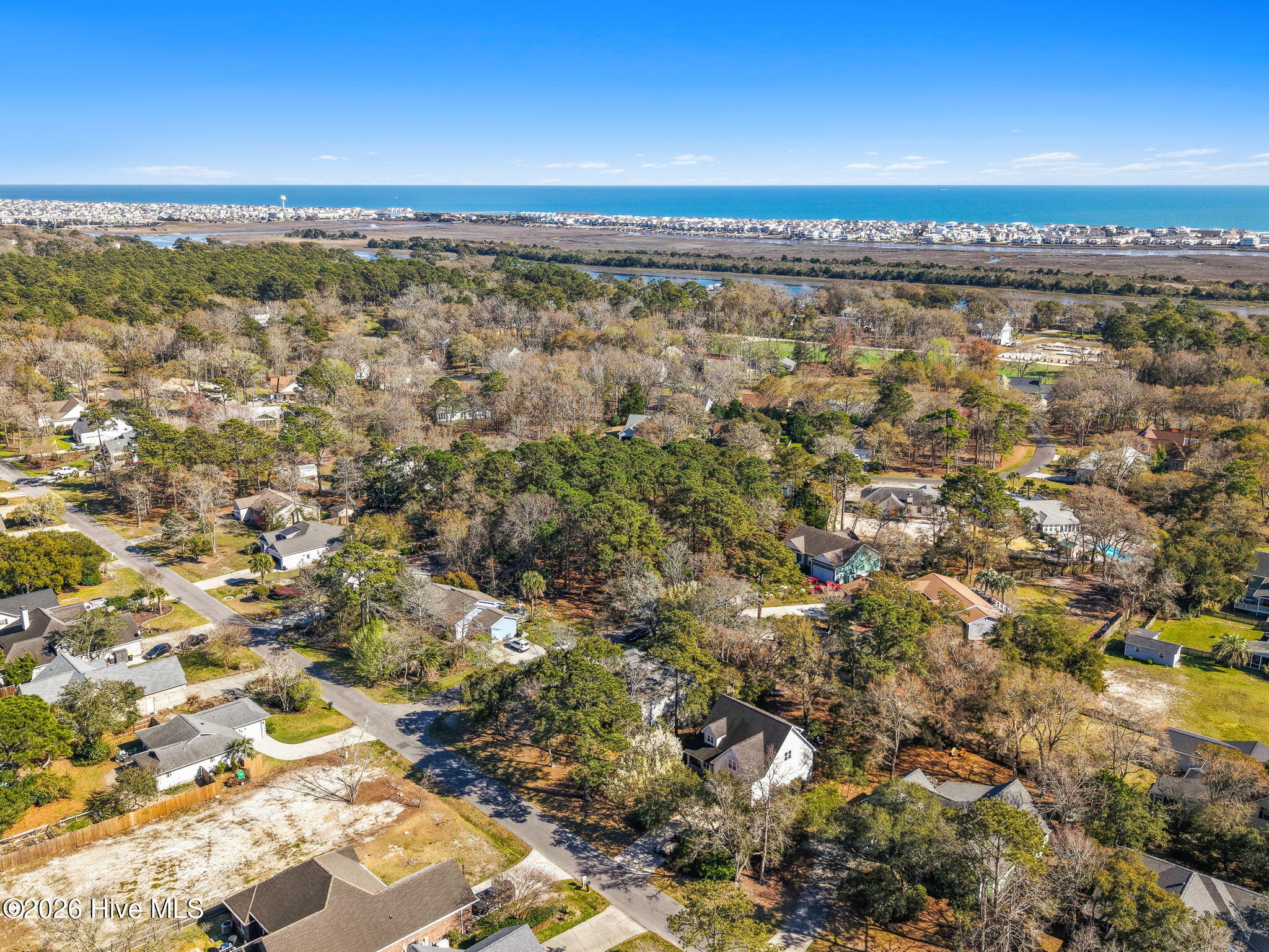 100562881 | Photo 43