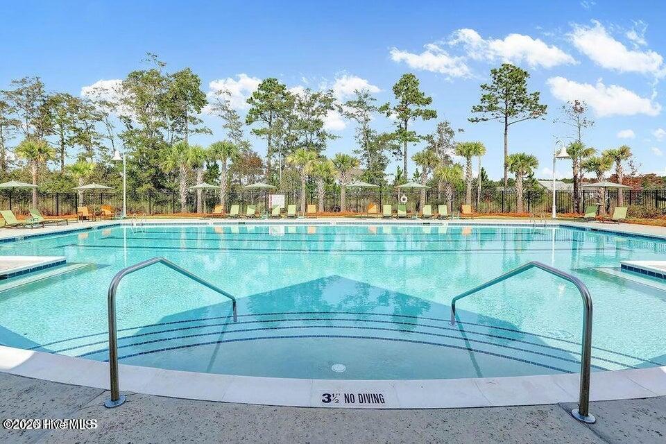 100552271 | Photo 63