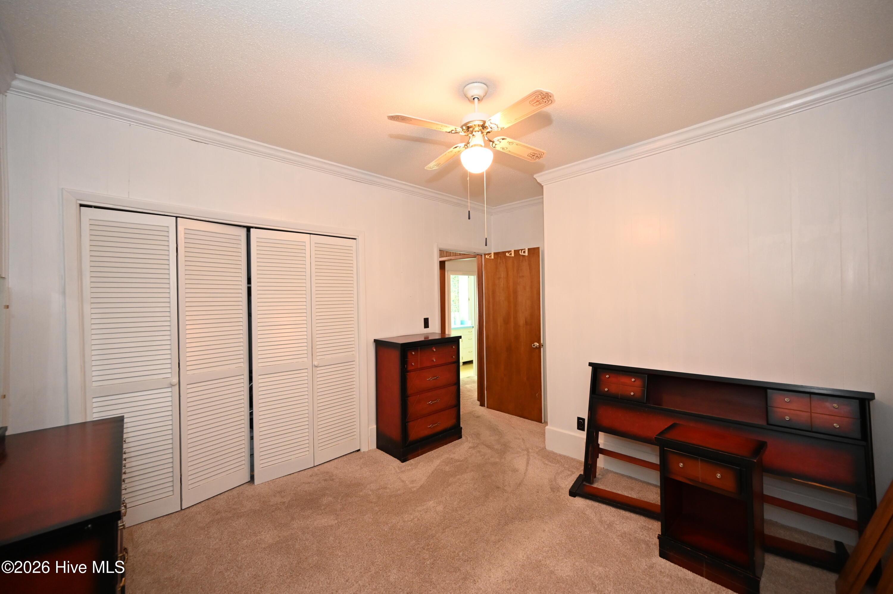 100556299 | Photo 18