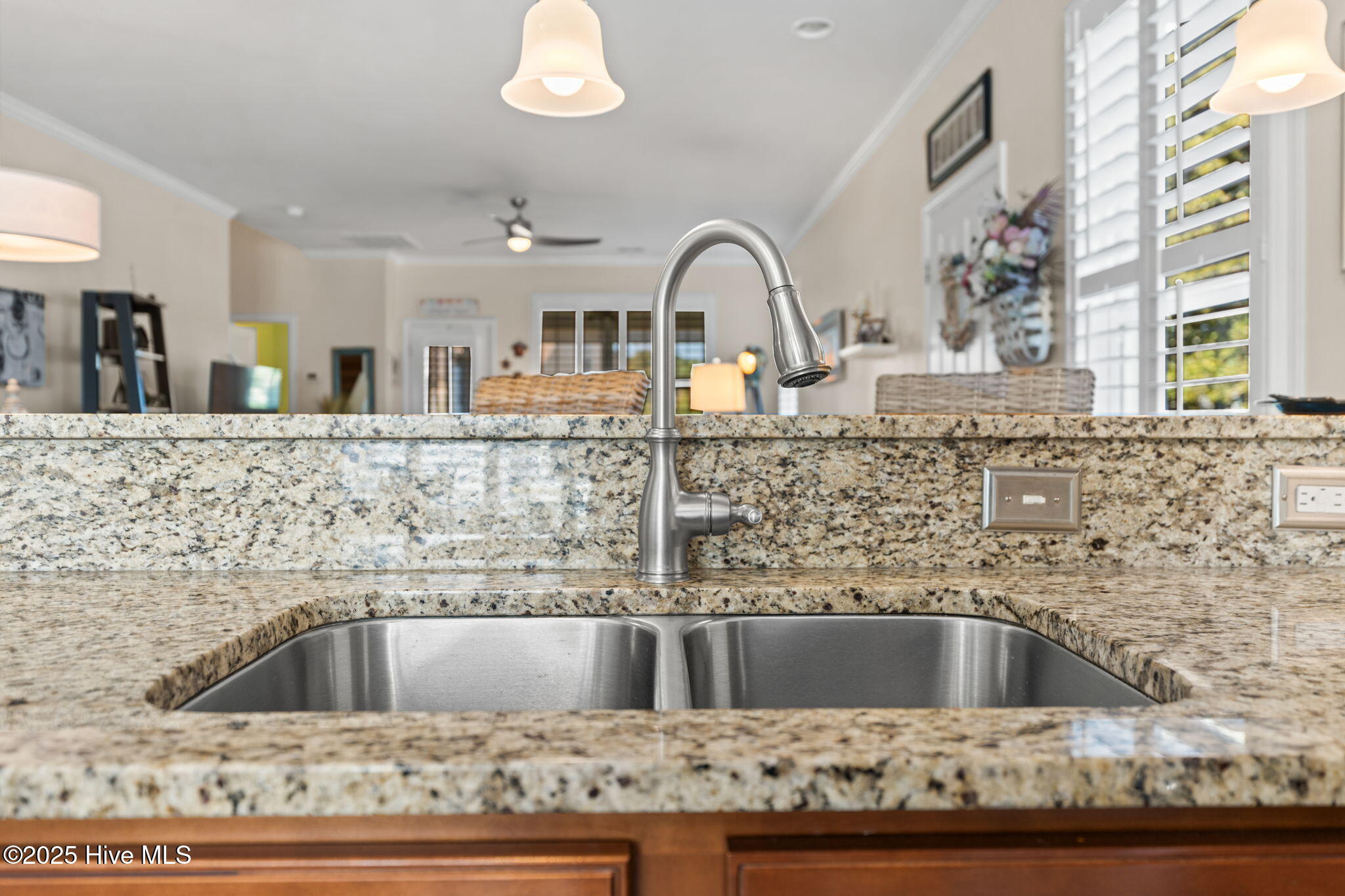 100538371 | Photo 16