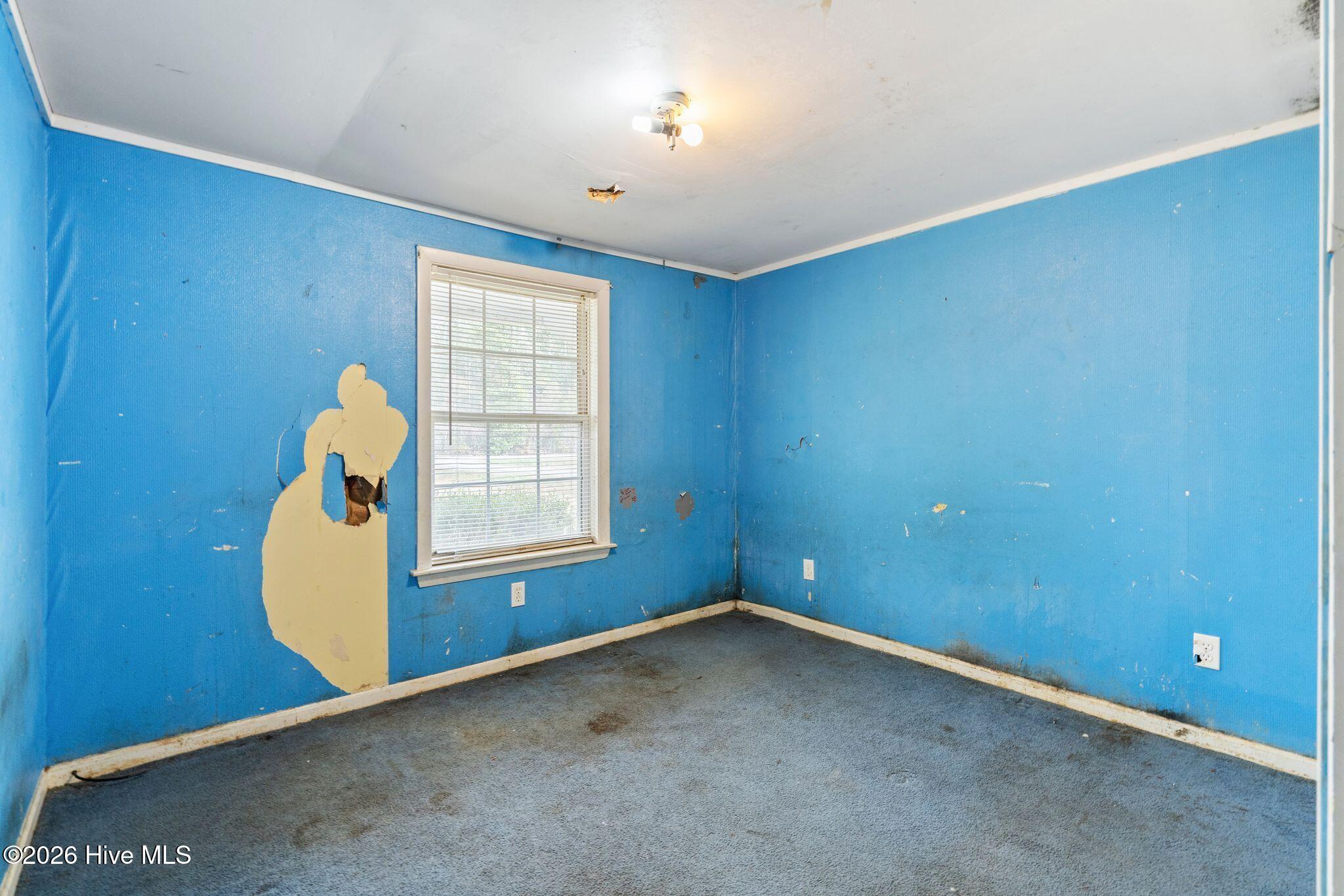 100555991 | Photo 28