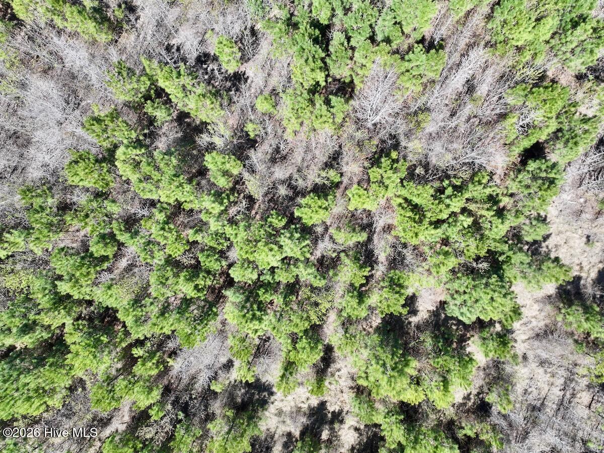 0 Guinea Mill Road, Ernul, NC, 28527