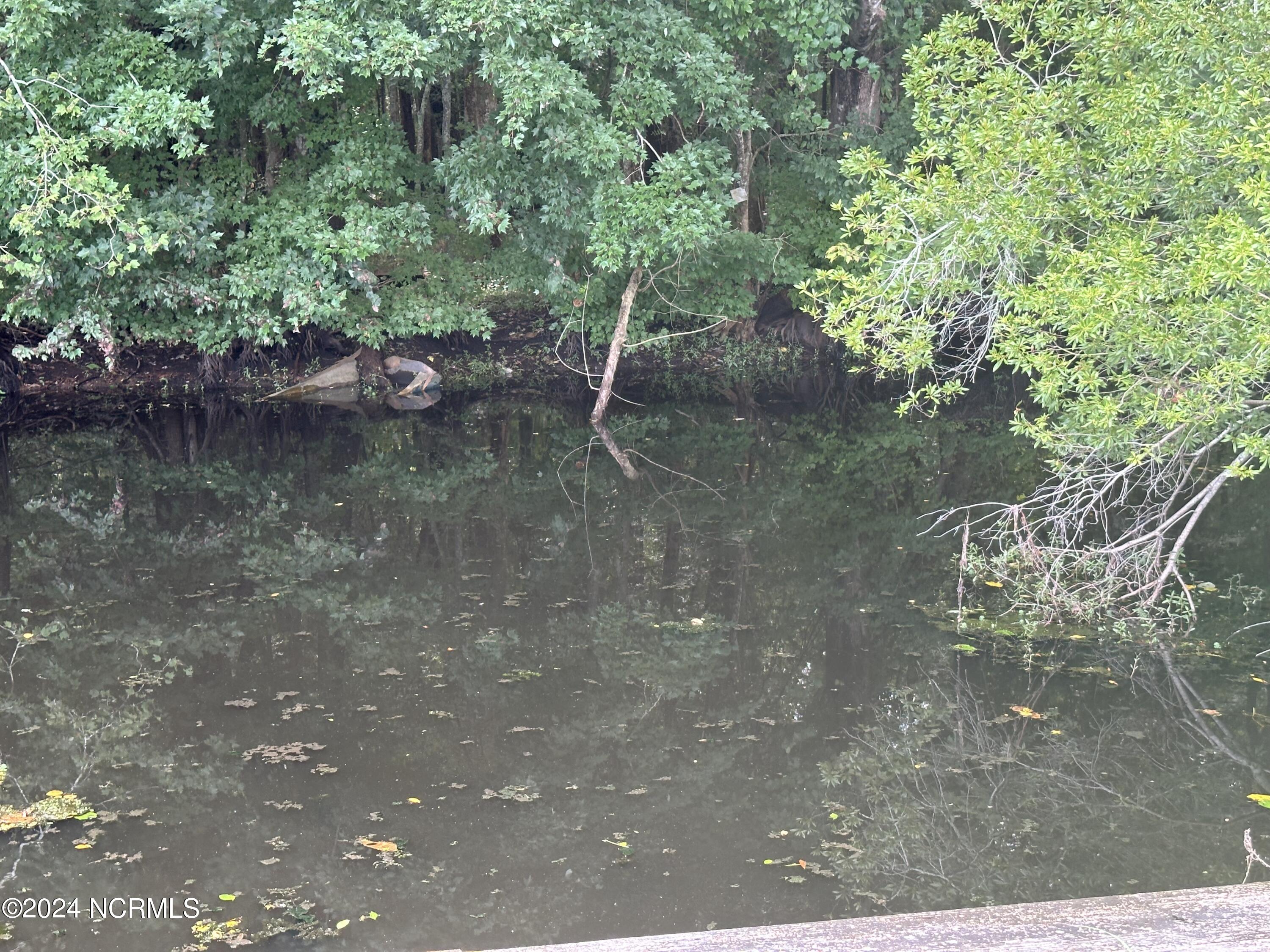 100557783 | Photo 11