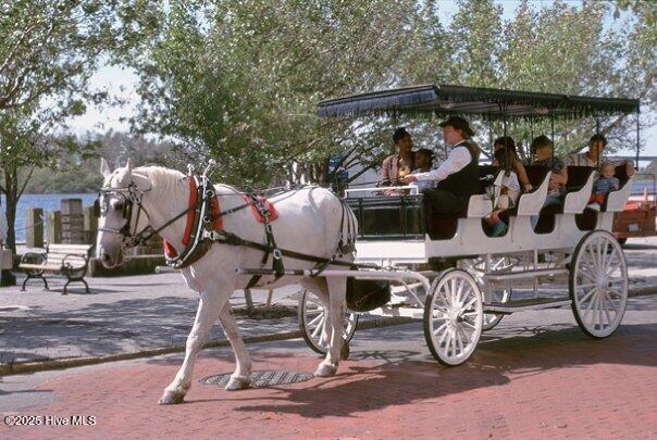 100491115 | Photo 41