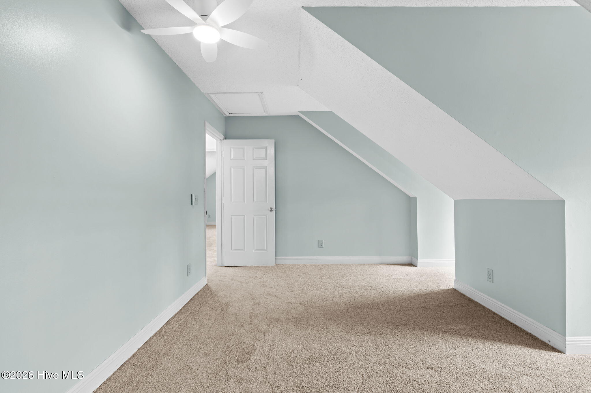 100564721 | Photo 41