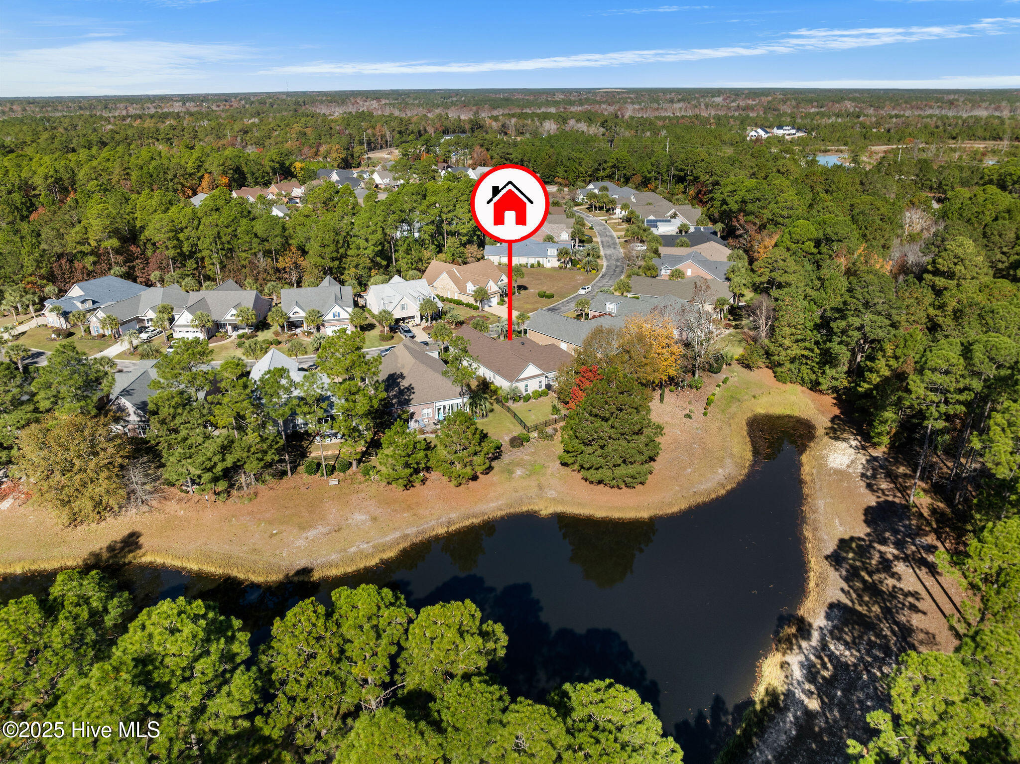 100542530 | Photo 51