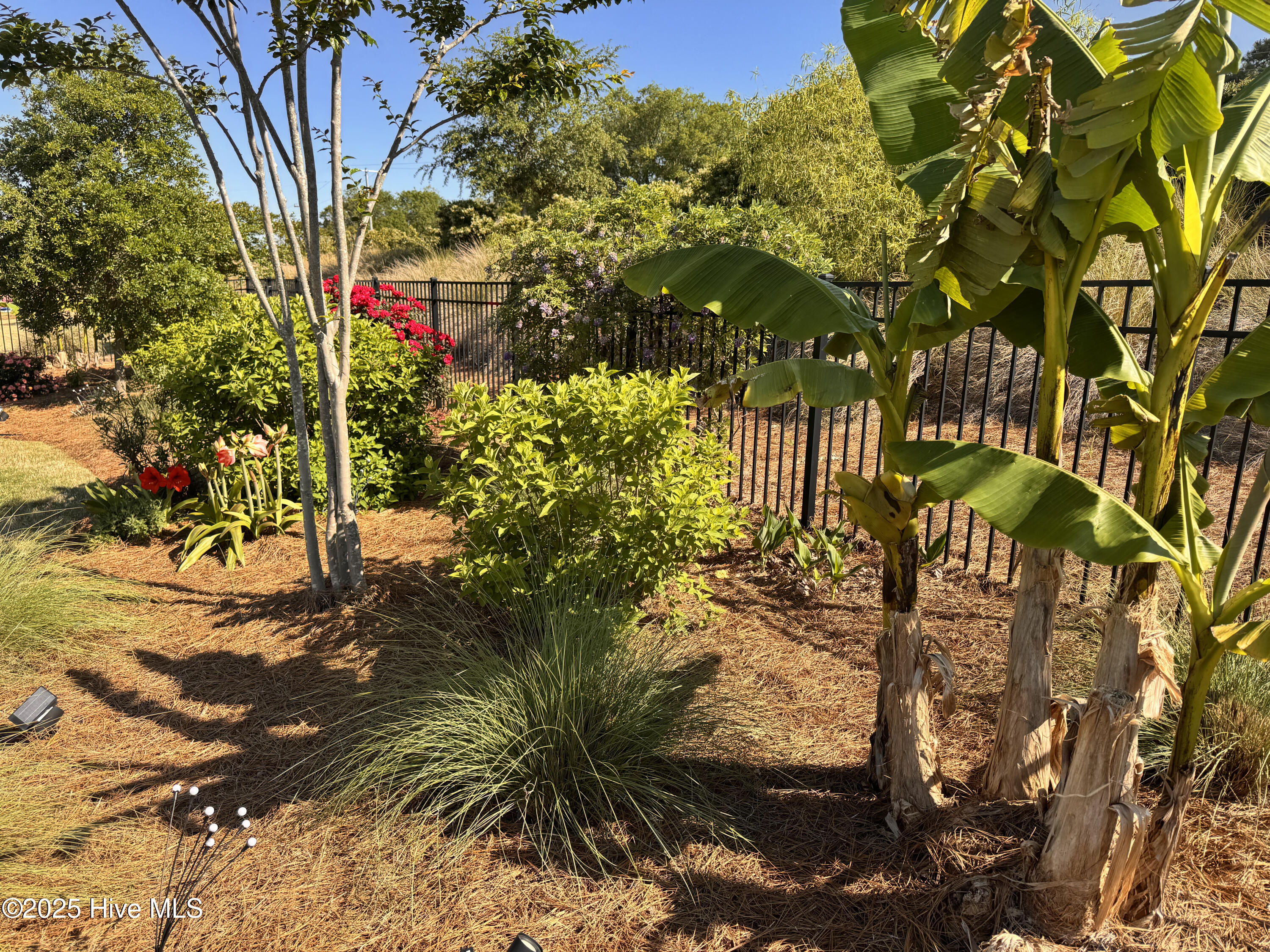 100545282 | Photo 61