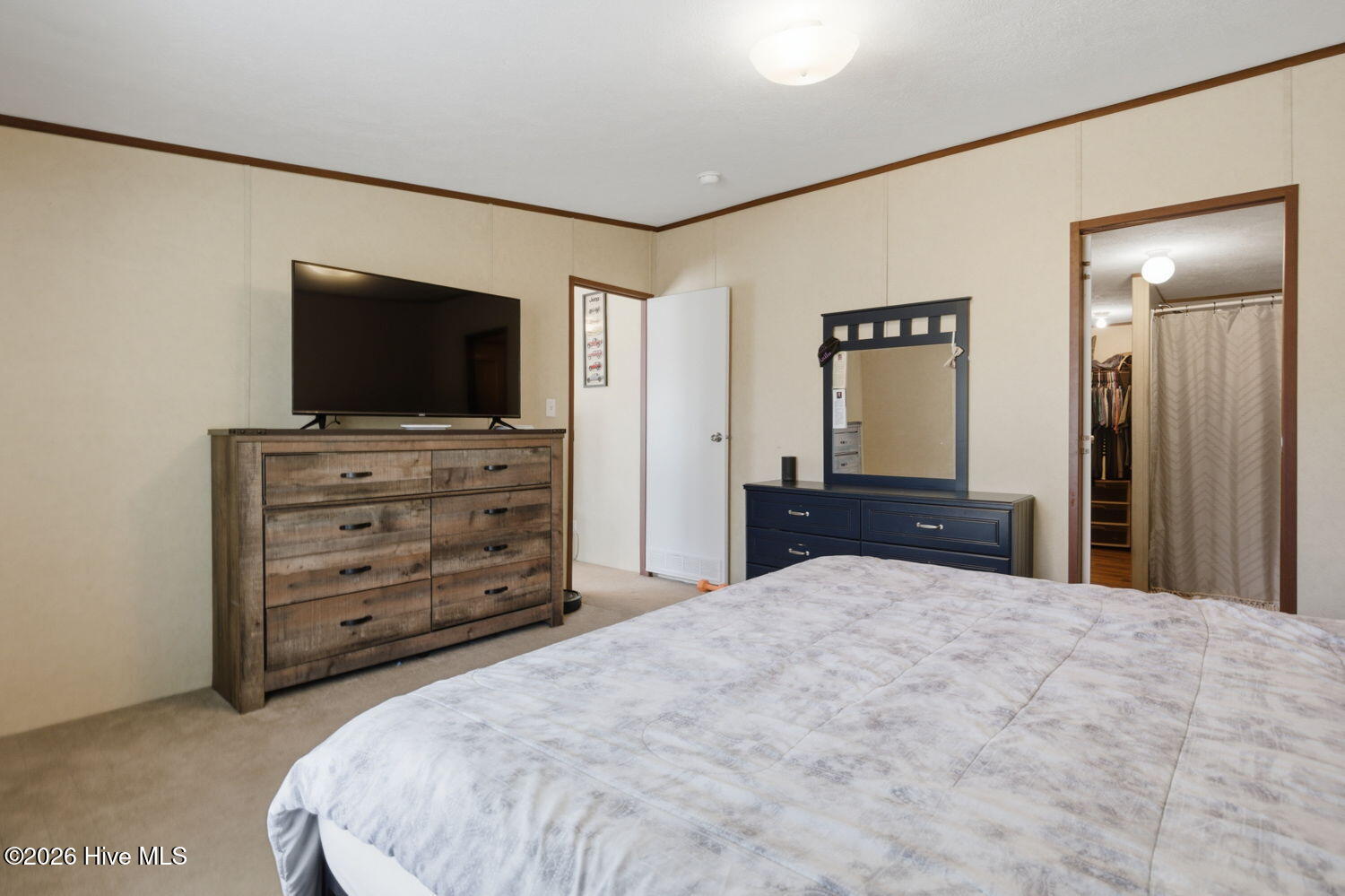 100559177 | Photo 15